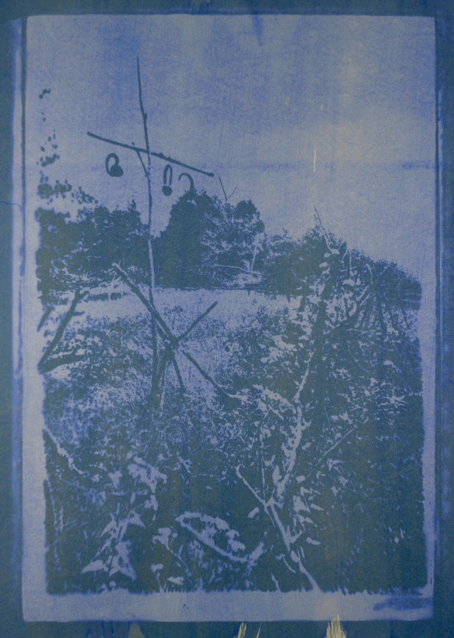 gum bichromate - Bell Smith