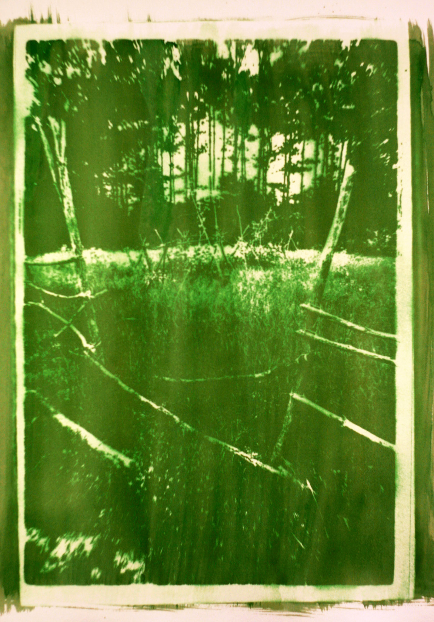 gum bichromate - Bell Smith