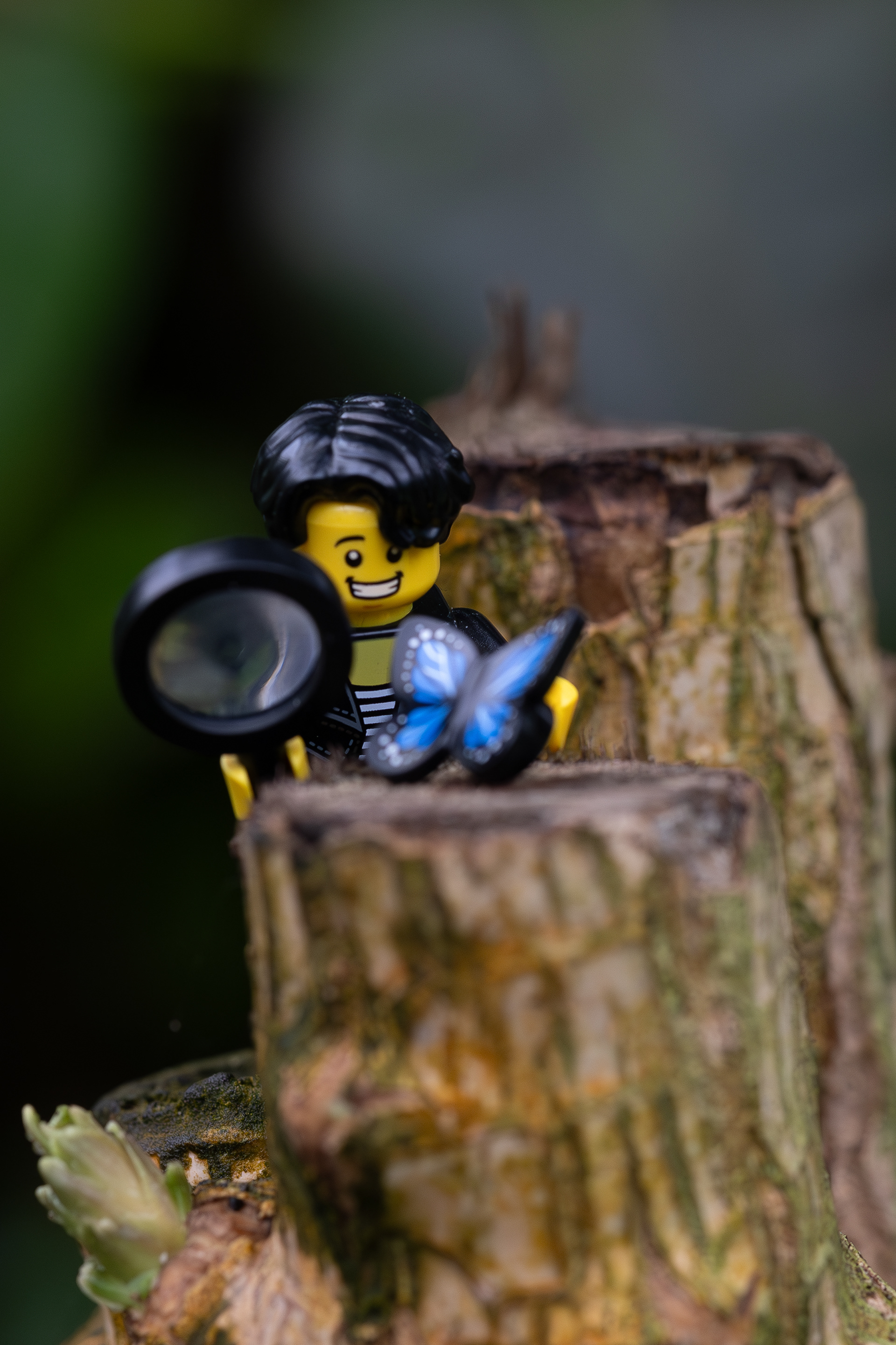 Jens in de Vlindertuin