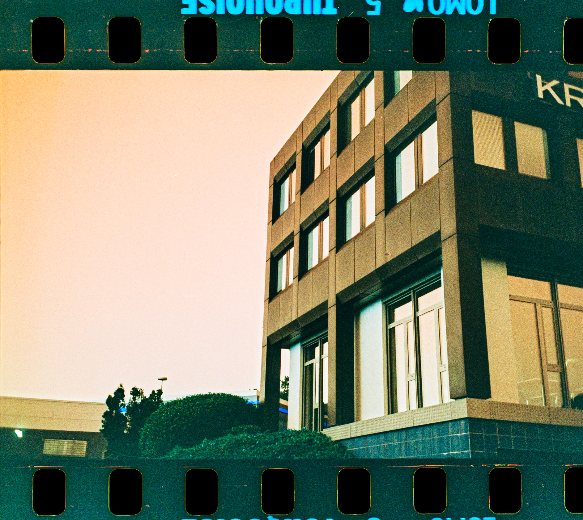 Rollei 35 S, Sonnar 2.8 / 40 mm, Lomo Turquoise ISO 100-400, Film was exposed at 400 ISO, Negativ self-developed with Adox C-41 Kit, Negative photographed with Pentax KP + SMC Macro Limited 28 mmGoldene Bremm Saarland, Saarbrücken, Germany, Europe