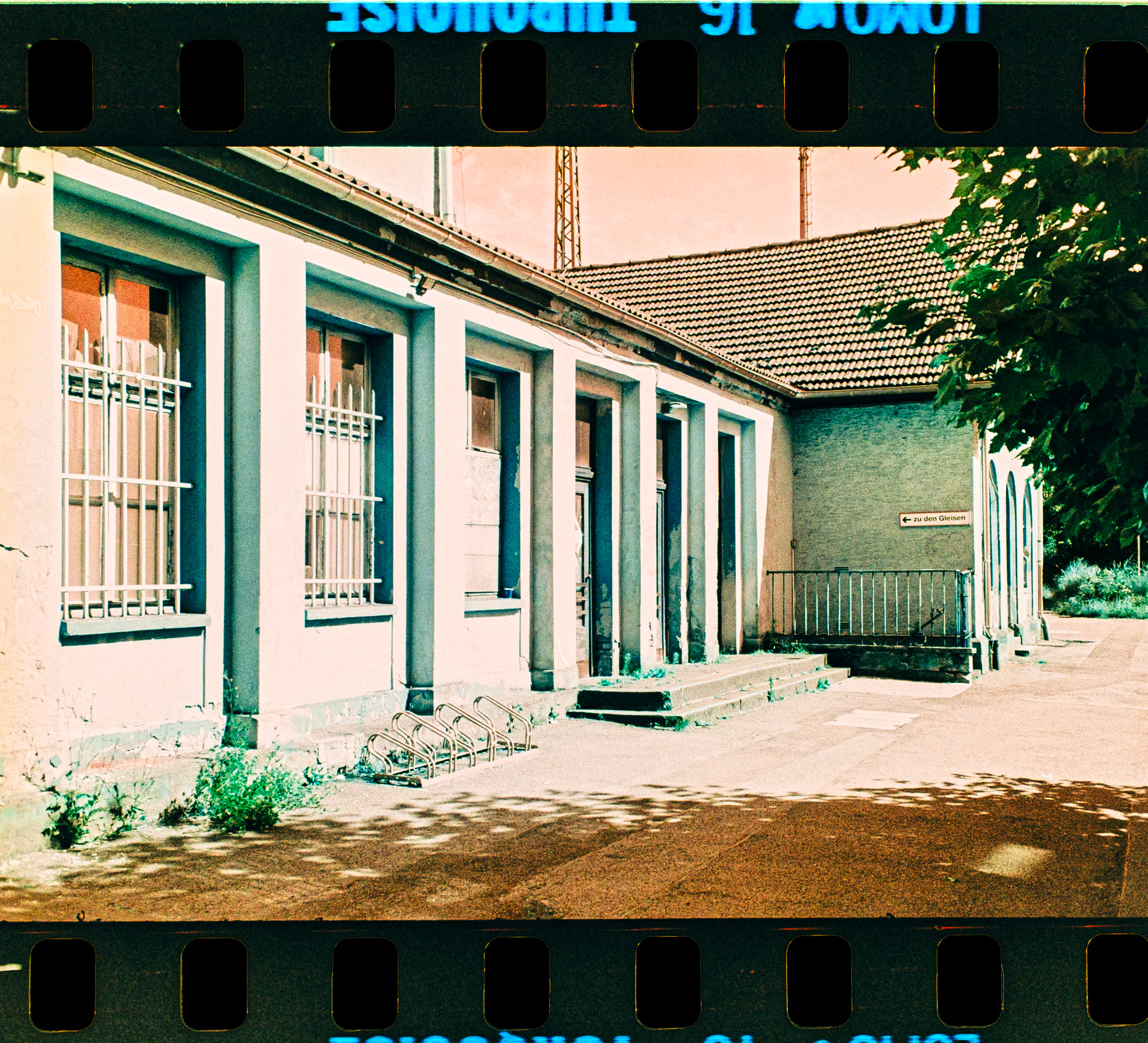 Rollei 35 S, Sonnar 2.8 / 40 mm Lomo Turquoise 100-400 ISO, Film was exposed at 400 ISO, Negativ self-developed with Adox C-41 Kit, Negative photographed with Pentax KP + SMC Macro Limited 28 mmEnsdorf Saarland Deutschland Europa