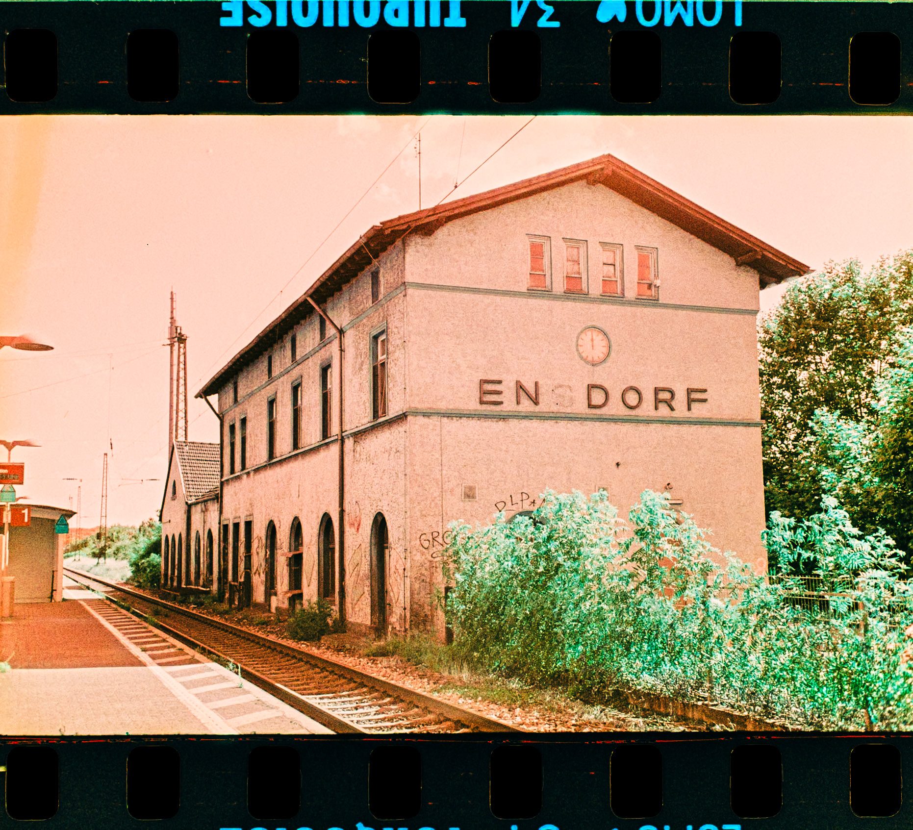 Rollei 35 S, Sonnar 2.8 / 40 mm Lomo Turquoise 100-400 ISO, Film was exposed at 400 ISO, Negativ self-developed with Adox C-41 Kit, Negative photographed with Pentax KP + SMC Macro Limited 28 mmEnsdorf Saarland Deutschland Europa