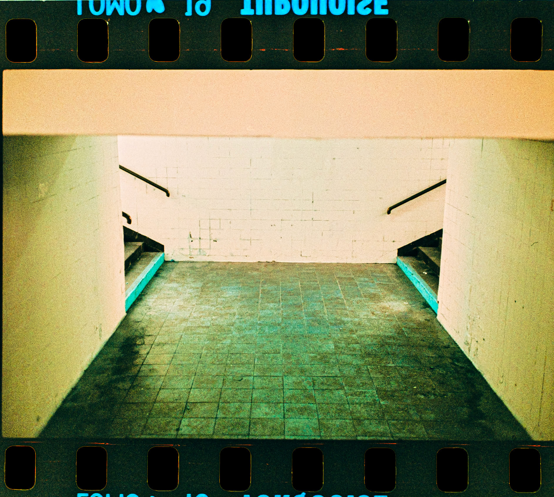 Rollei 35 S, Sonnar 2.8 / 40 mm Lomo Turquoise 100-400 ISO, Film was exposed at 400 ISO, Negativ self-developed with Adox C-41 Kit, Negative photographed with Pentax KP + SMC Macro Limited 28 mmEnsdorf Saarland Deutschland Europa