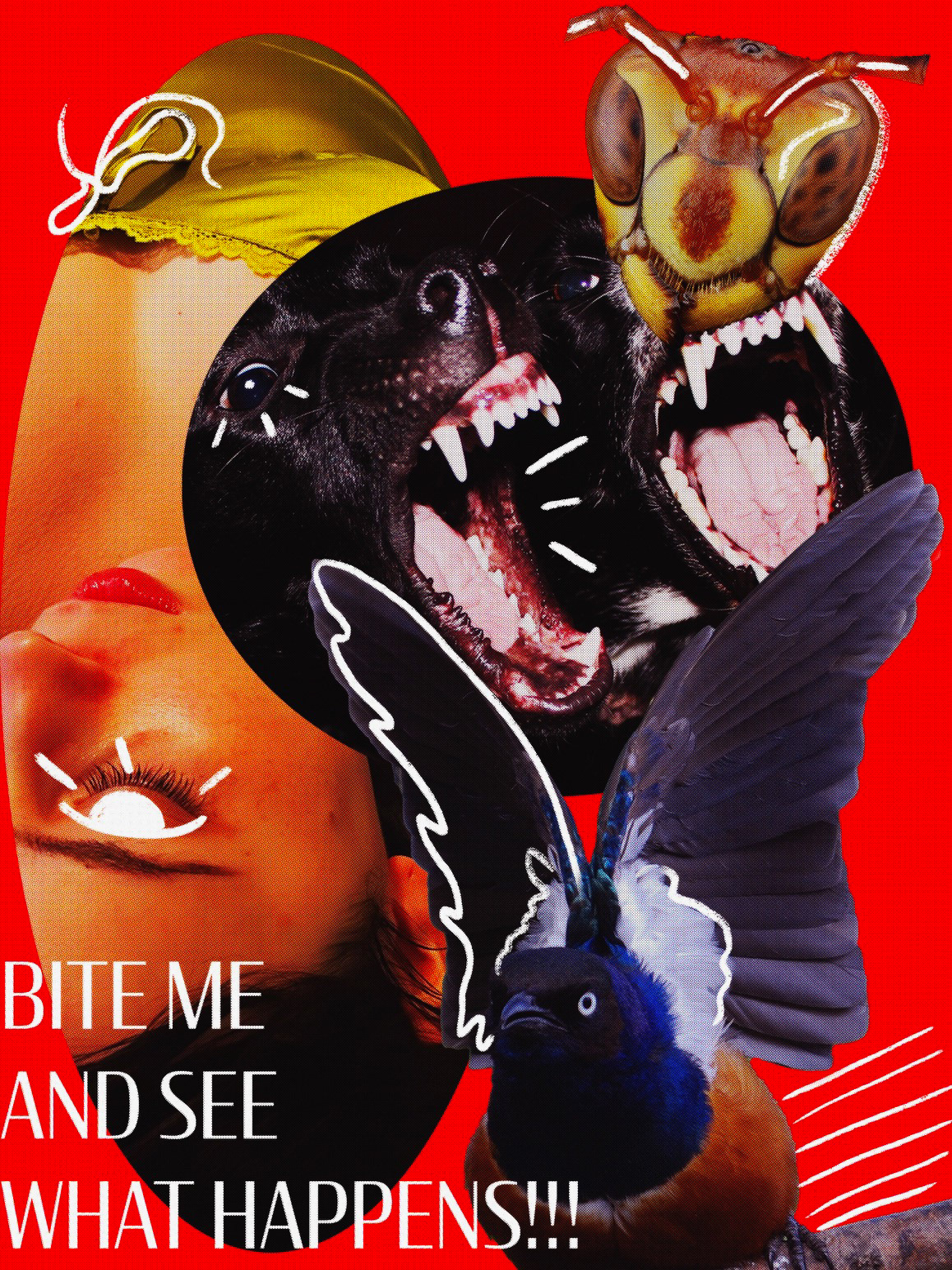 more inconsolable rage and nowhere to put it (self portrait)