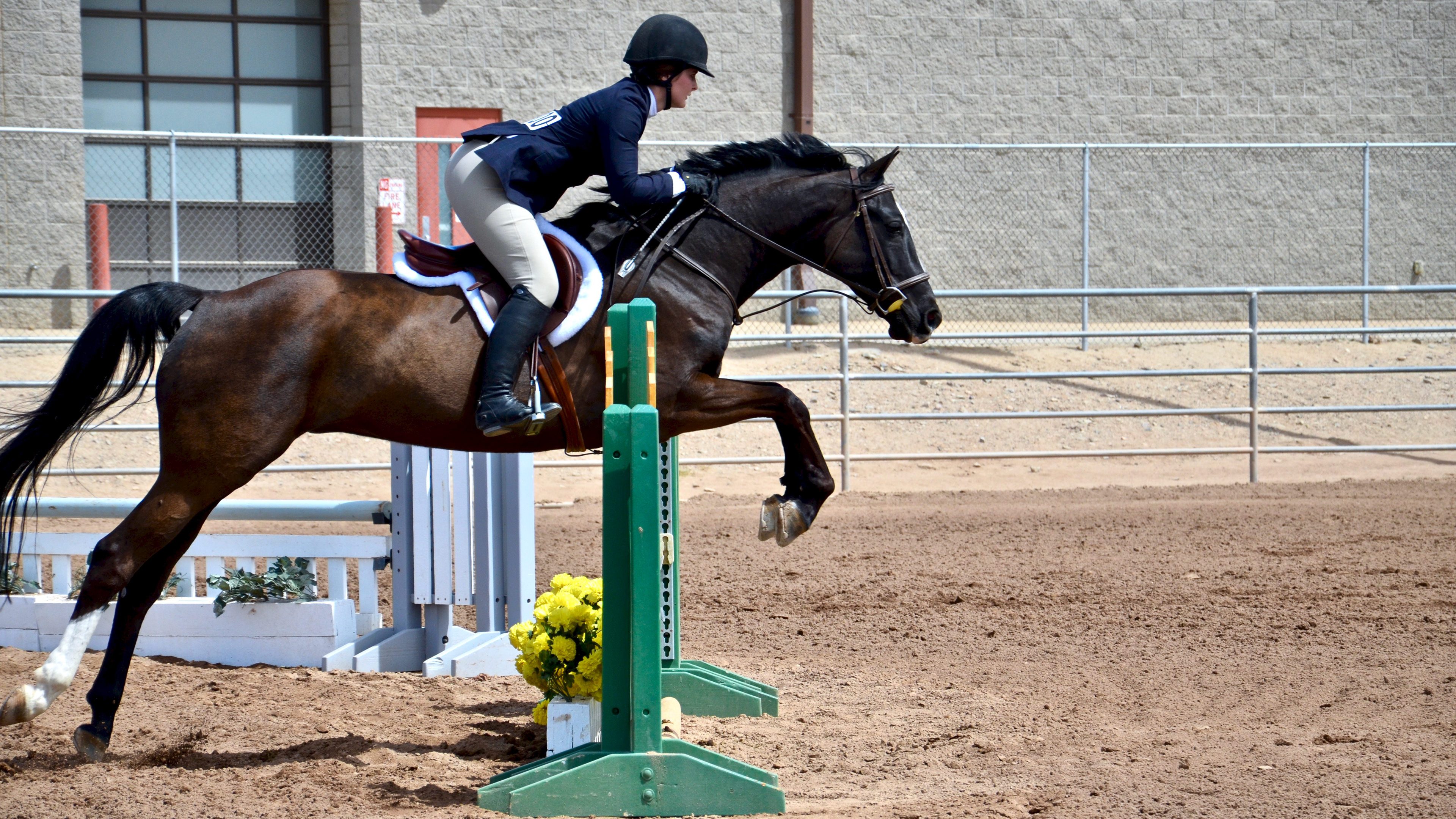 2018 Grand Canyon State Games Winter- Equestrian 