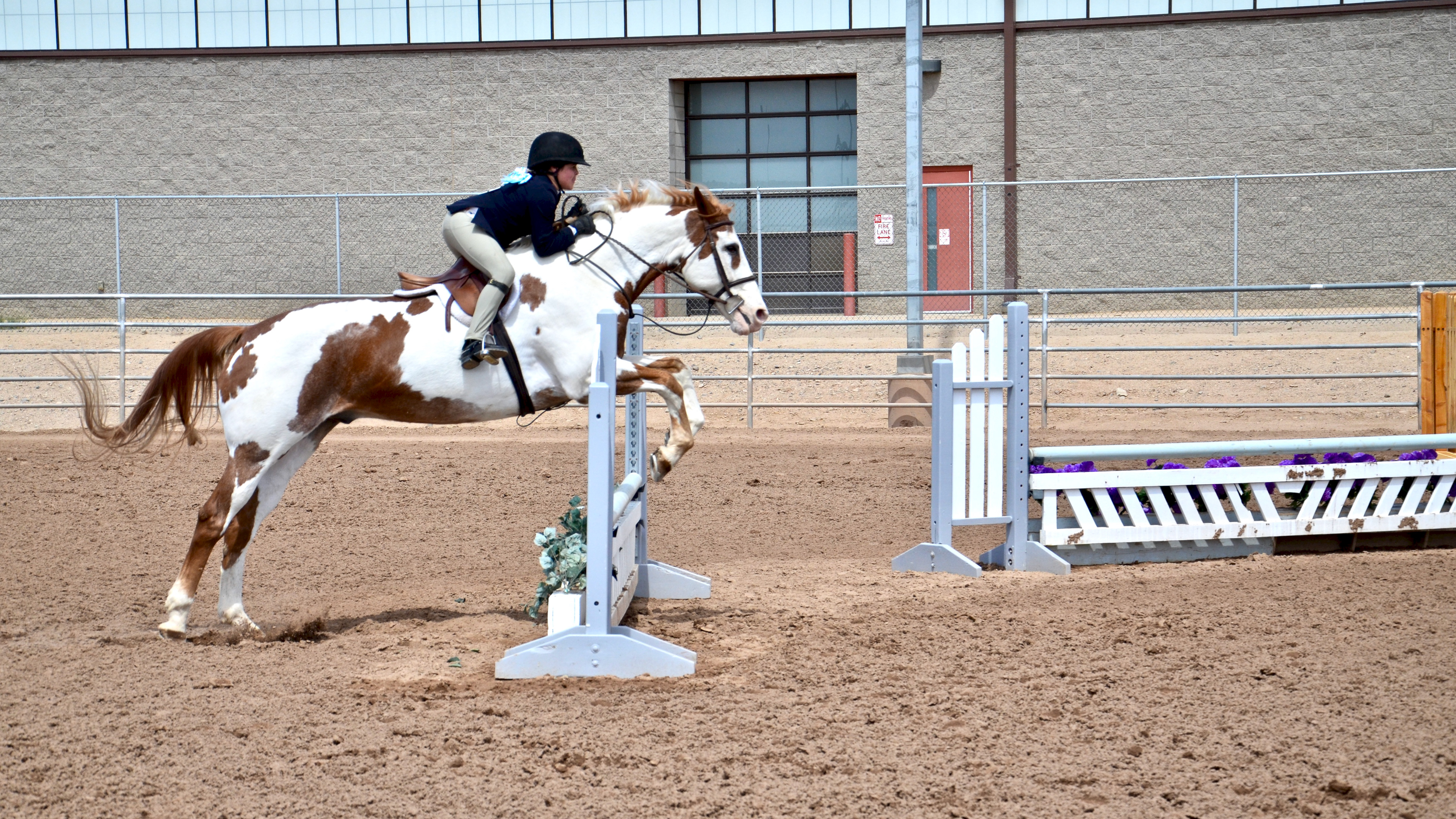 2018 Grand Canyon State Games Winter- Equestrian 