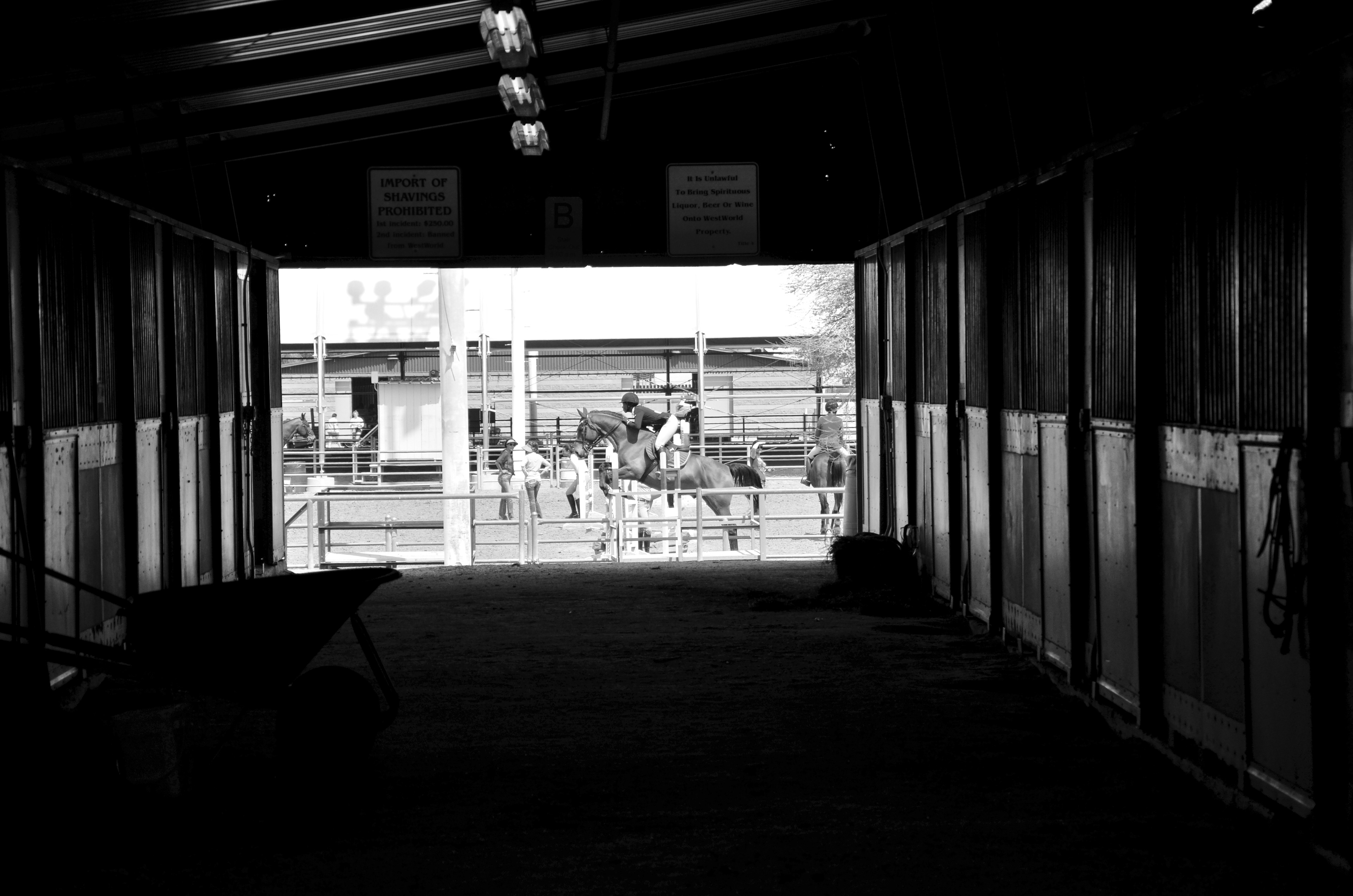 2018 Grand Canyon State Games Winter- Equestrian 