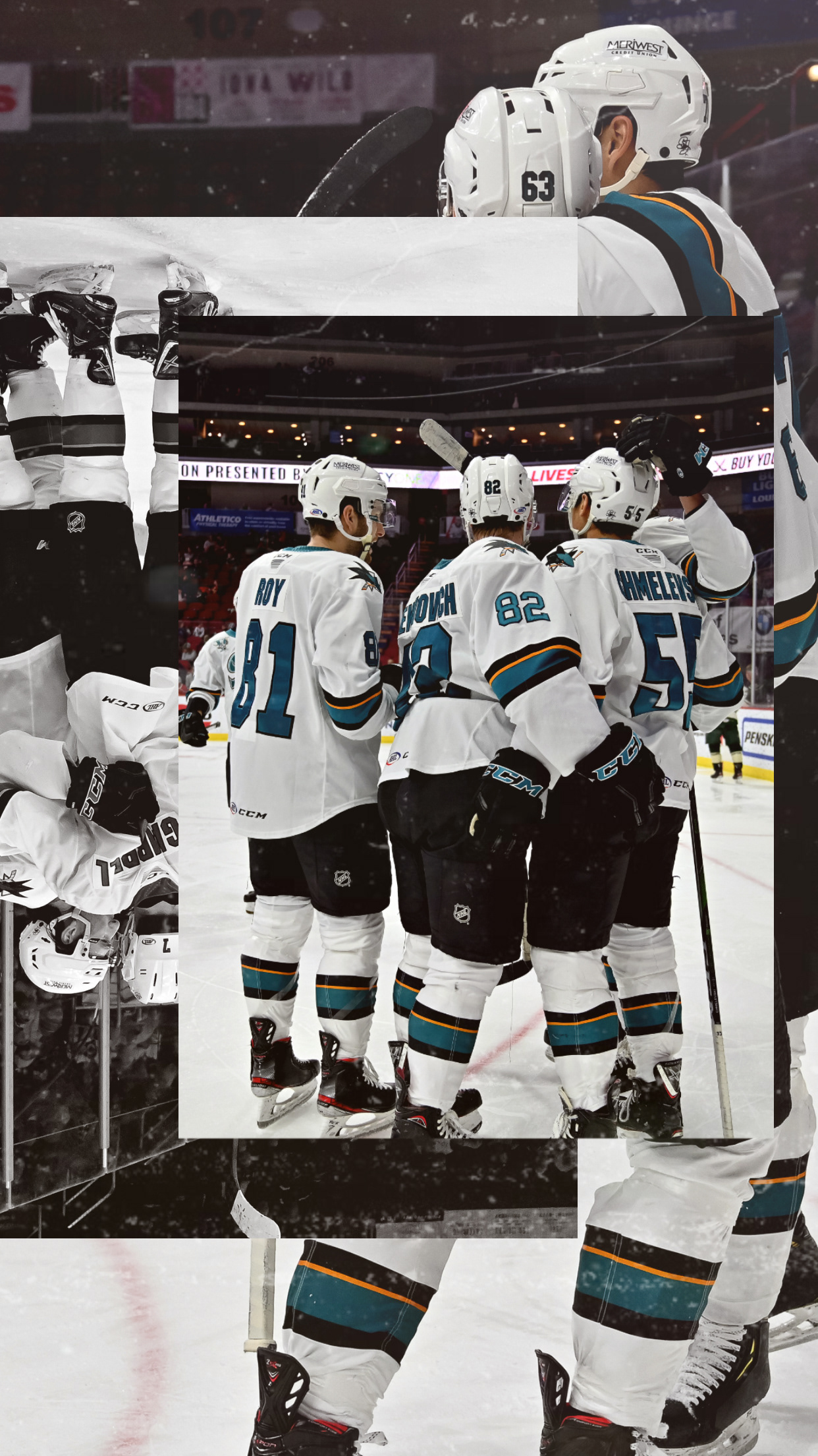 'Wallpaper Wednesday' for San Jose Barracuda