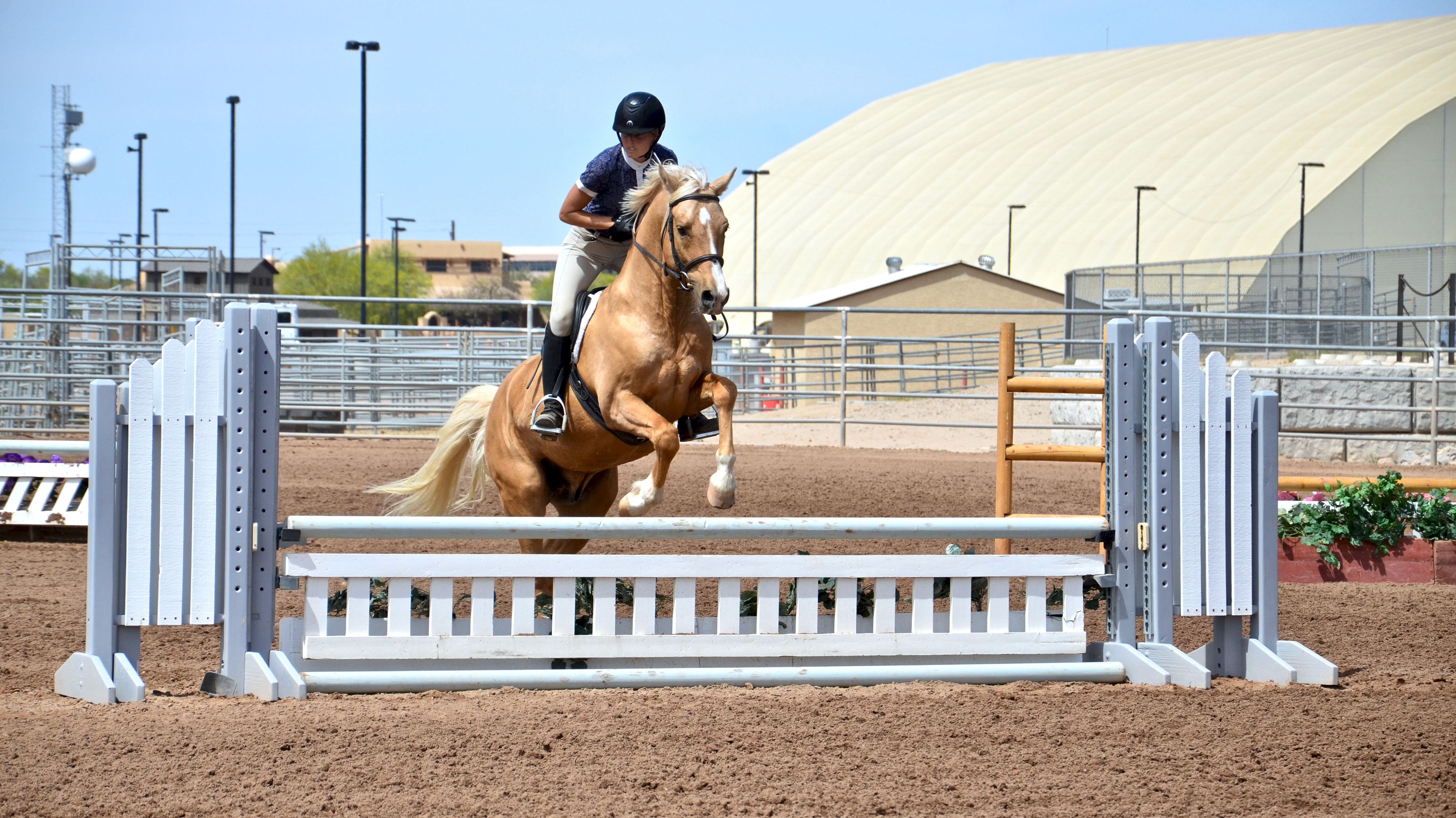 2018 Grand Canyon State Games Winter- Equestrian 