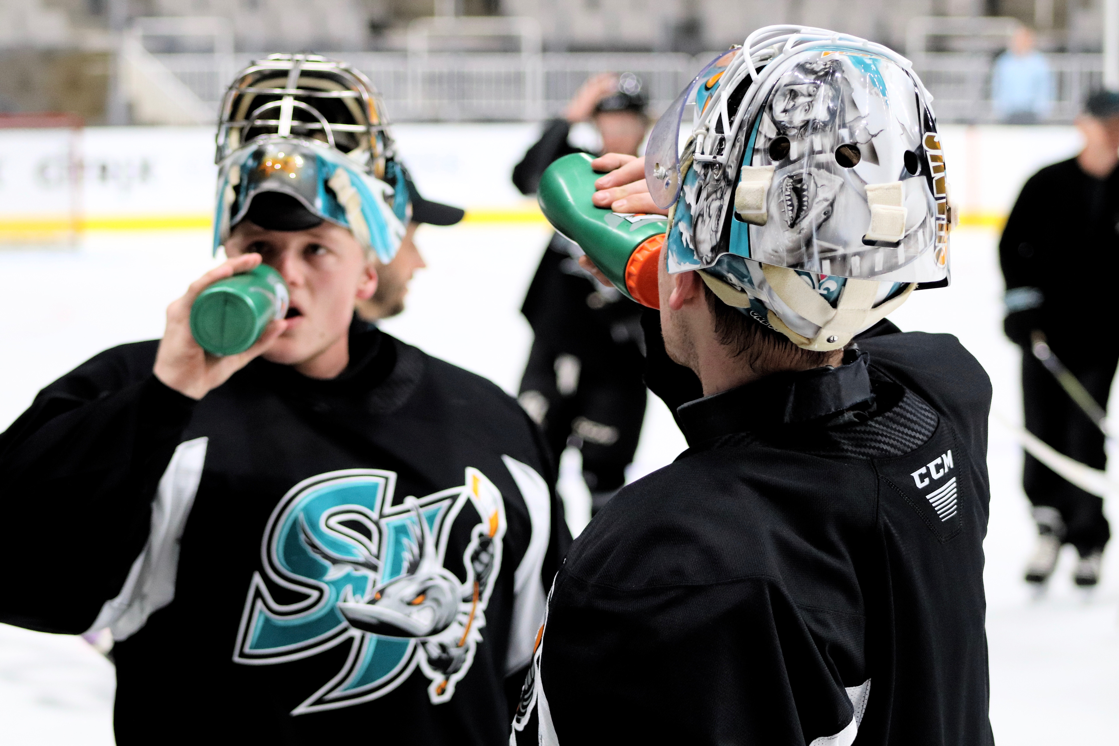 2019 Josef Korenar & Antoine Bibeau