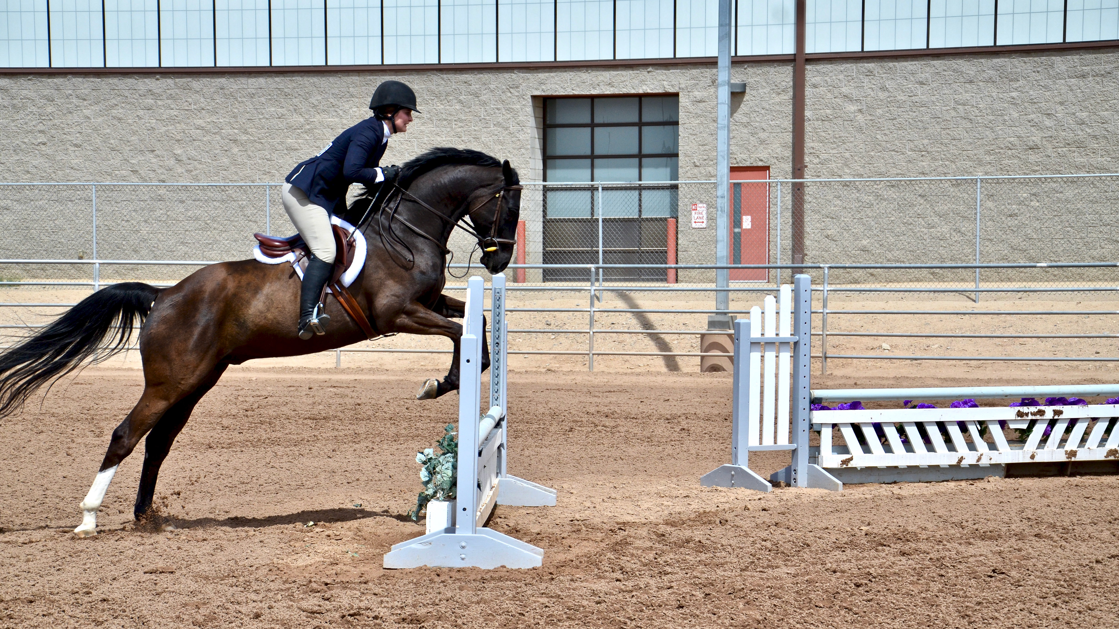 2018 Grand Canyon State Games Winter- Equestrian 