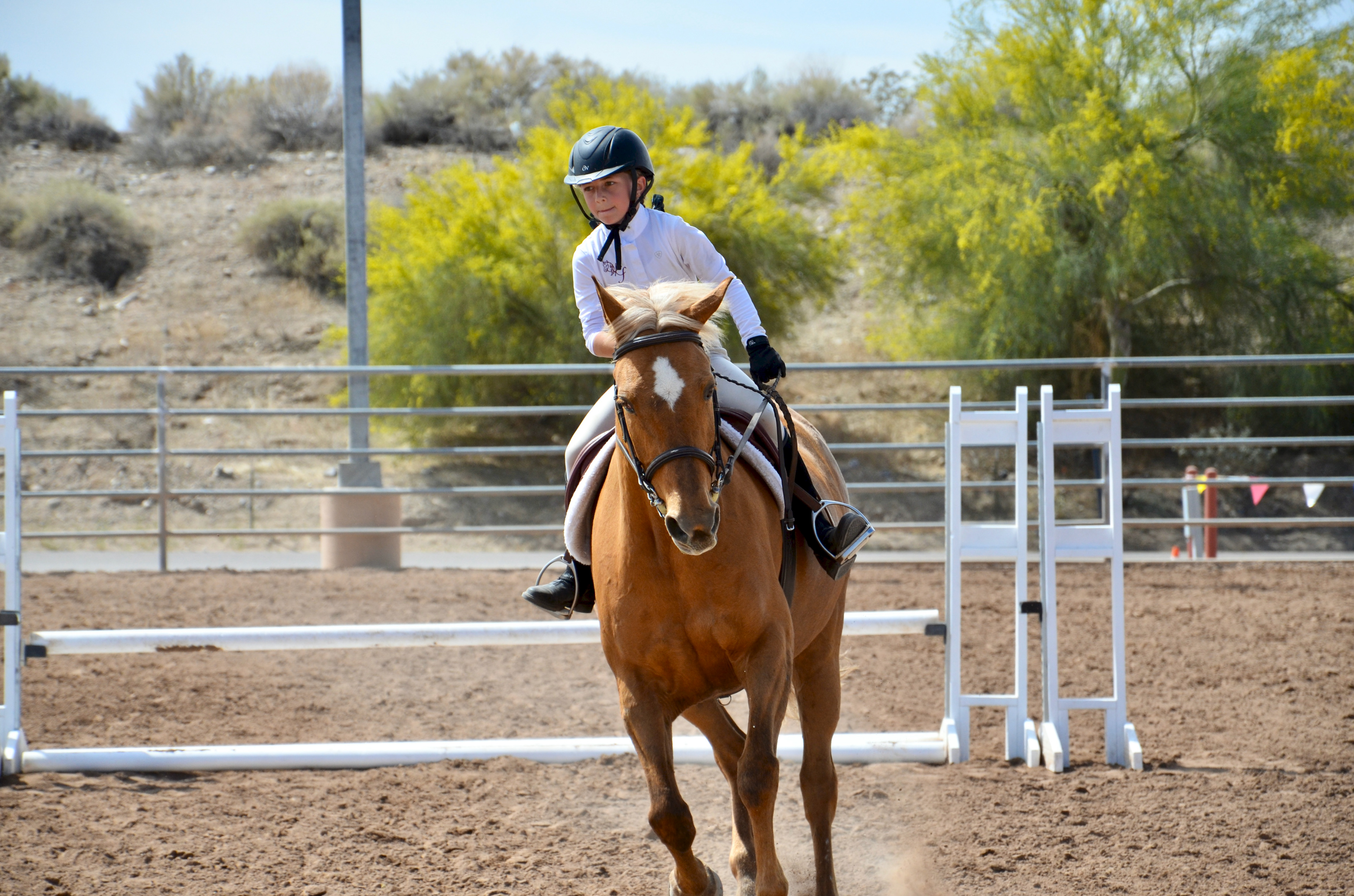 2018 Grand Canyon State Games Winter- Equestrian 