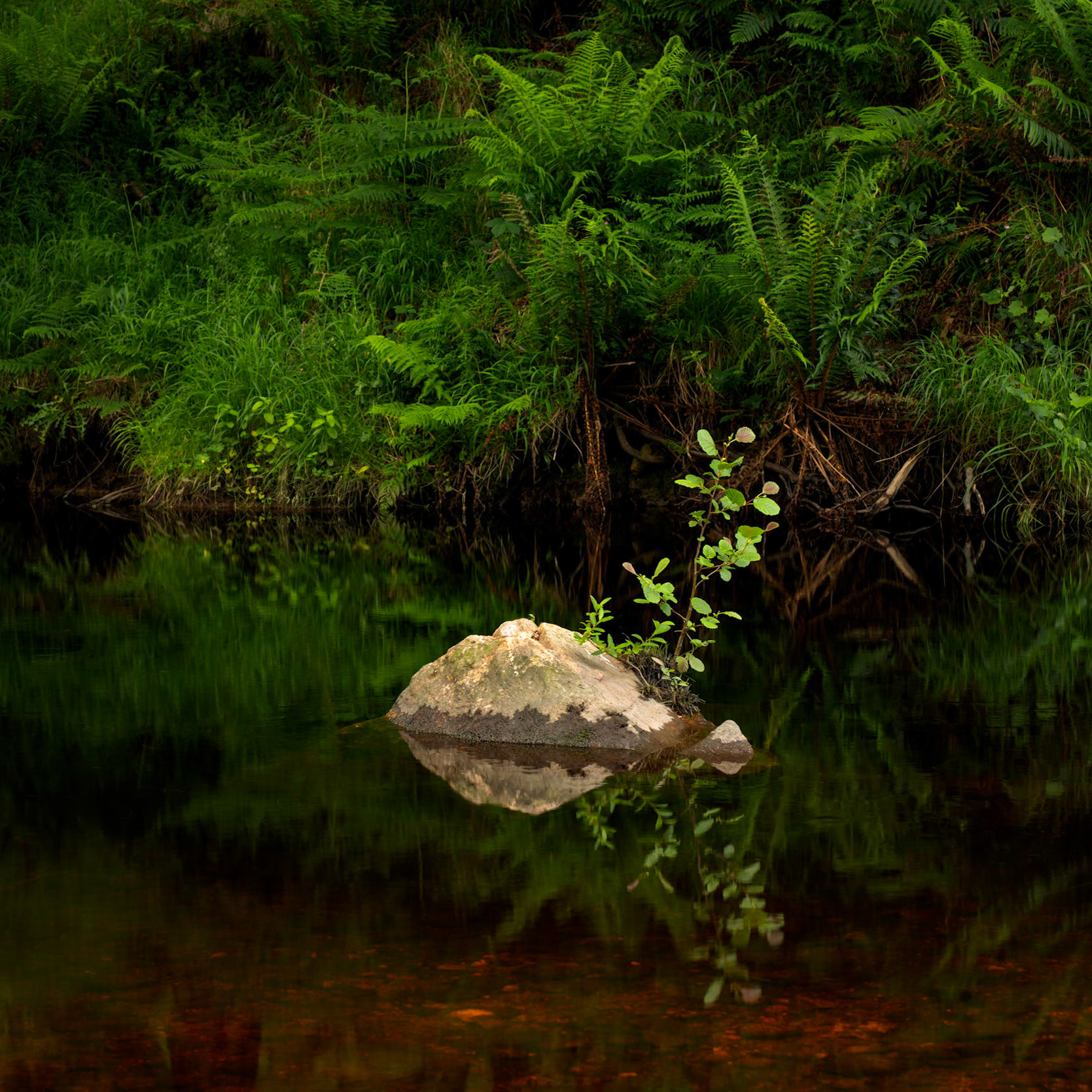 A rock on the Glencree River in County Wicklow on an overcast day