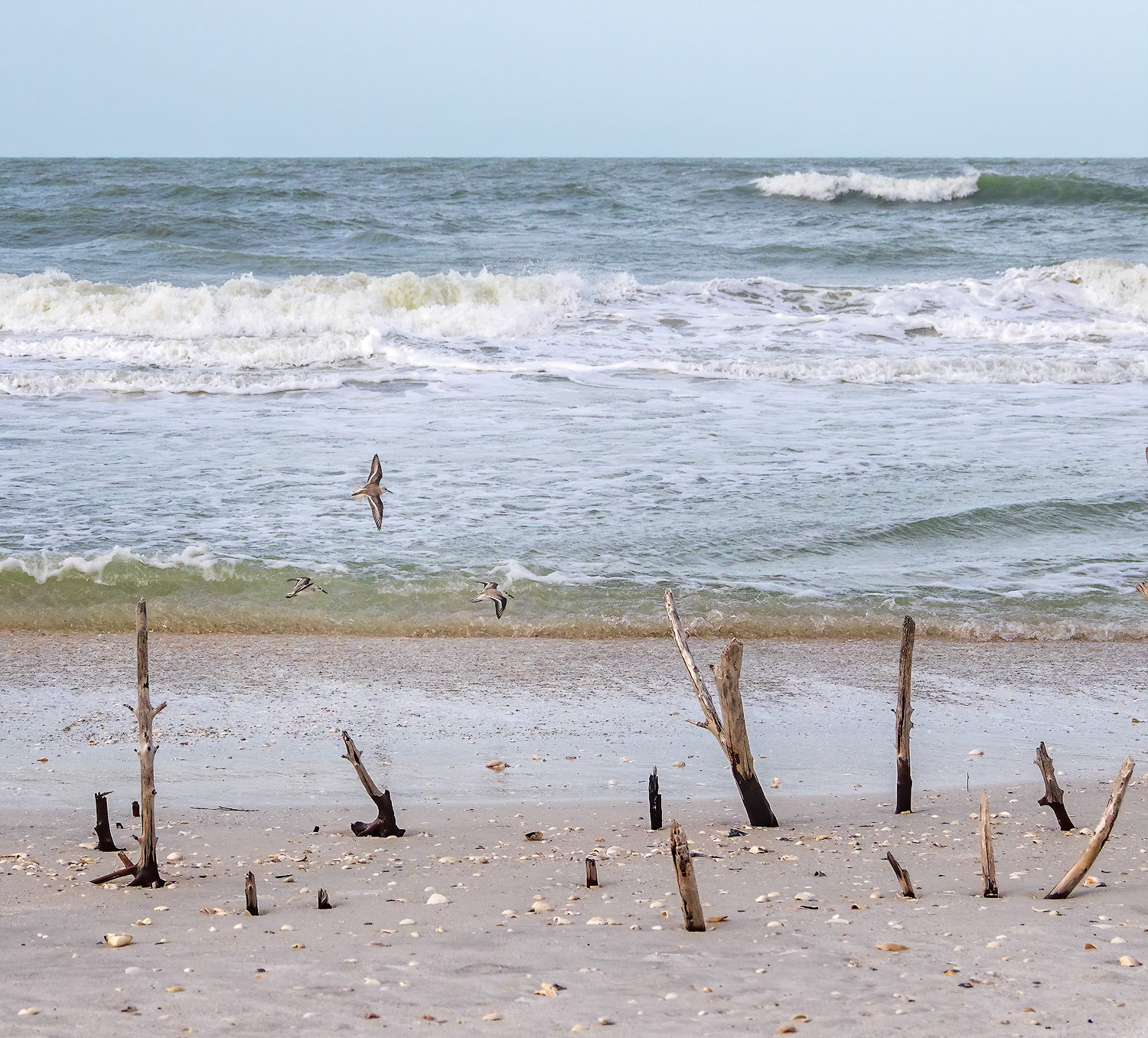 Tigertail Beach scene
