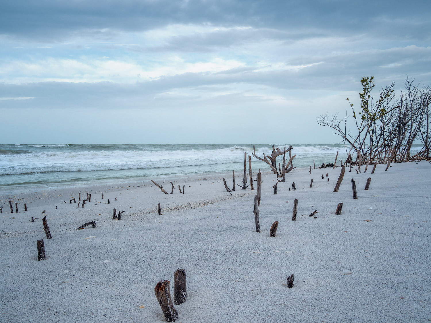 Tigertail Beach