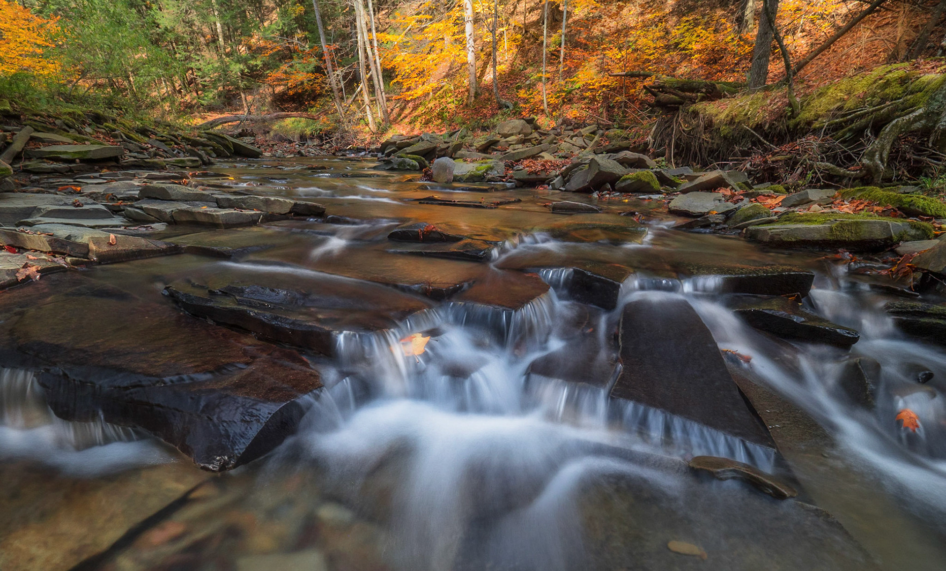 "Brown's Creek Fall Flow"
