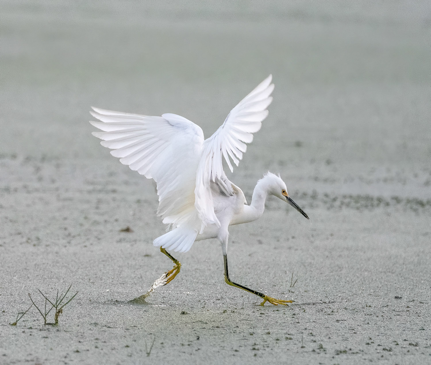 Walking on Water