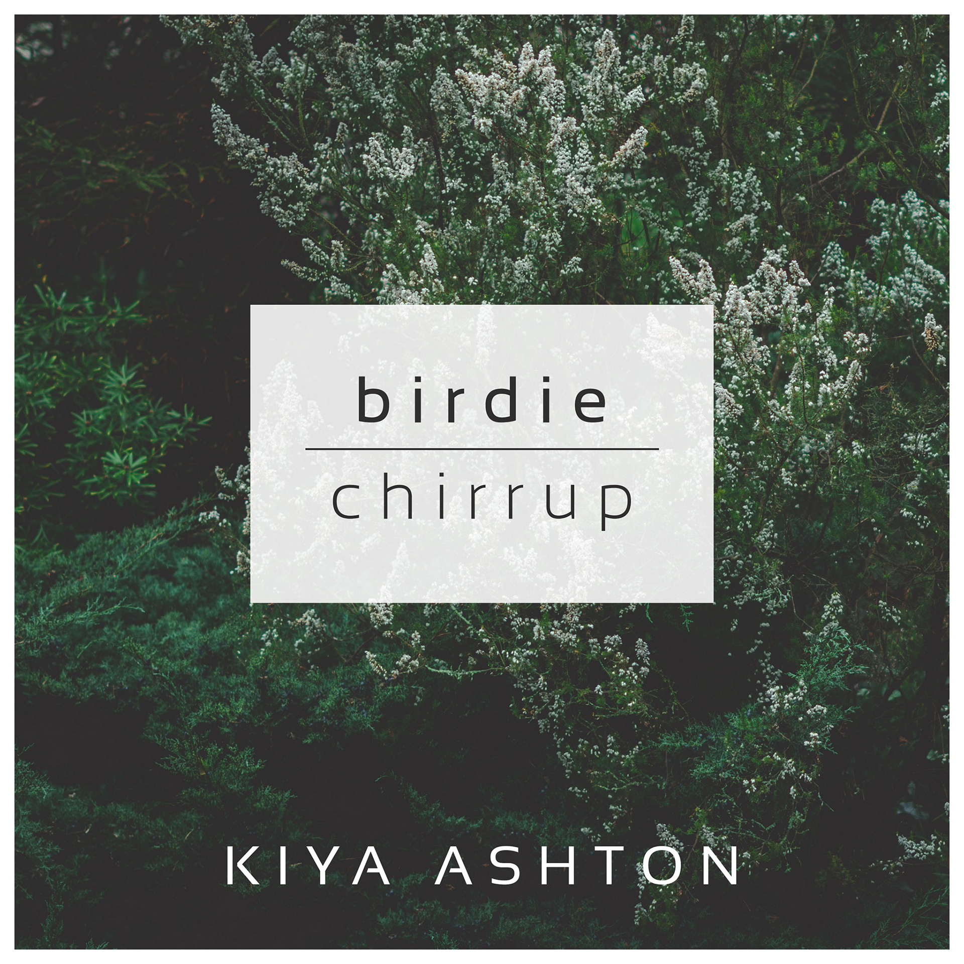 https://kiyaashton.com