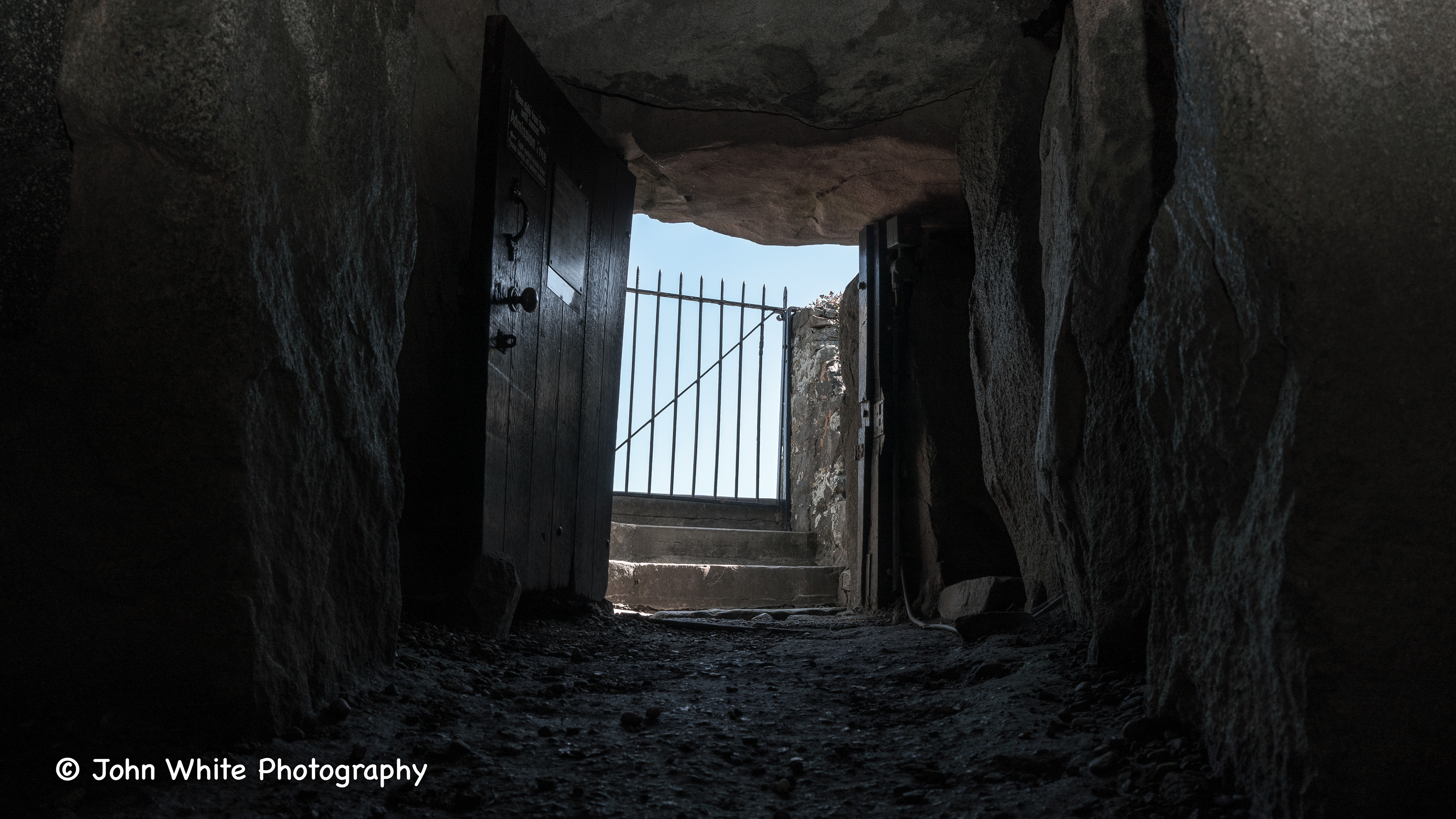 Dehus Dolman Guernsey