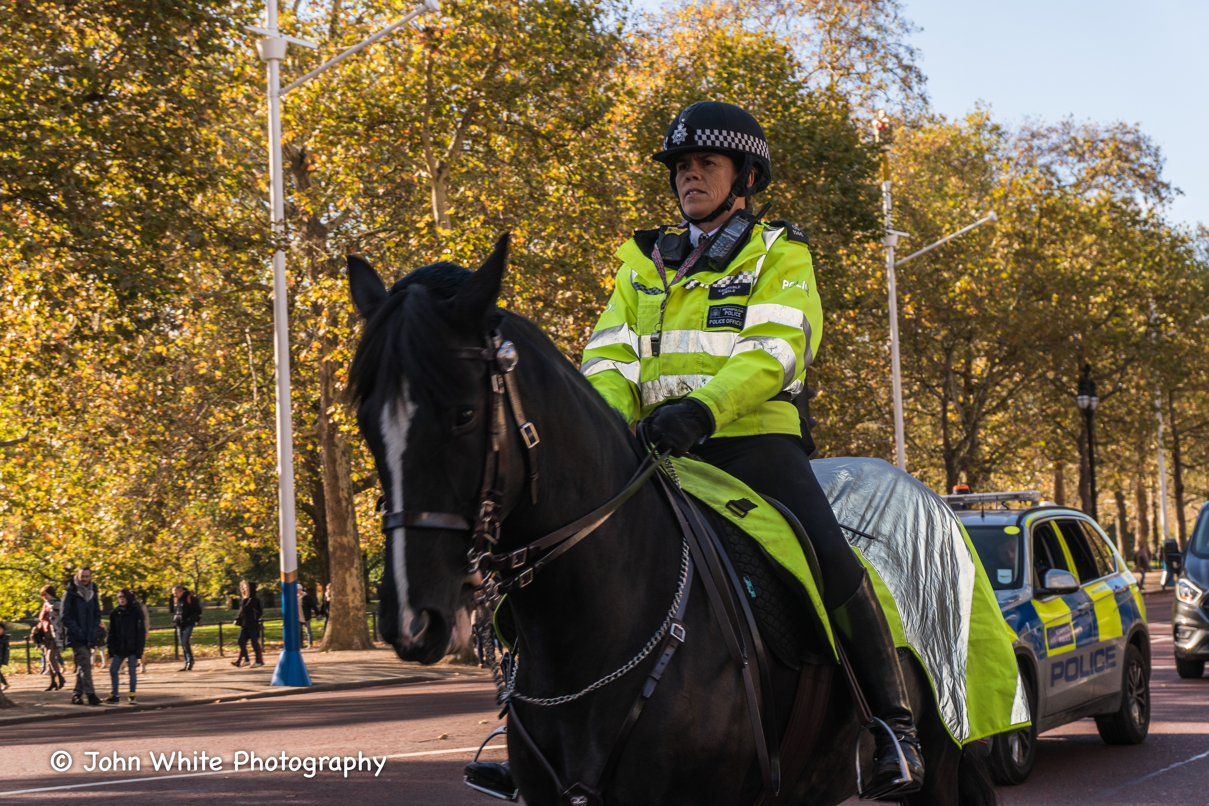 Police on Horses