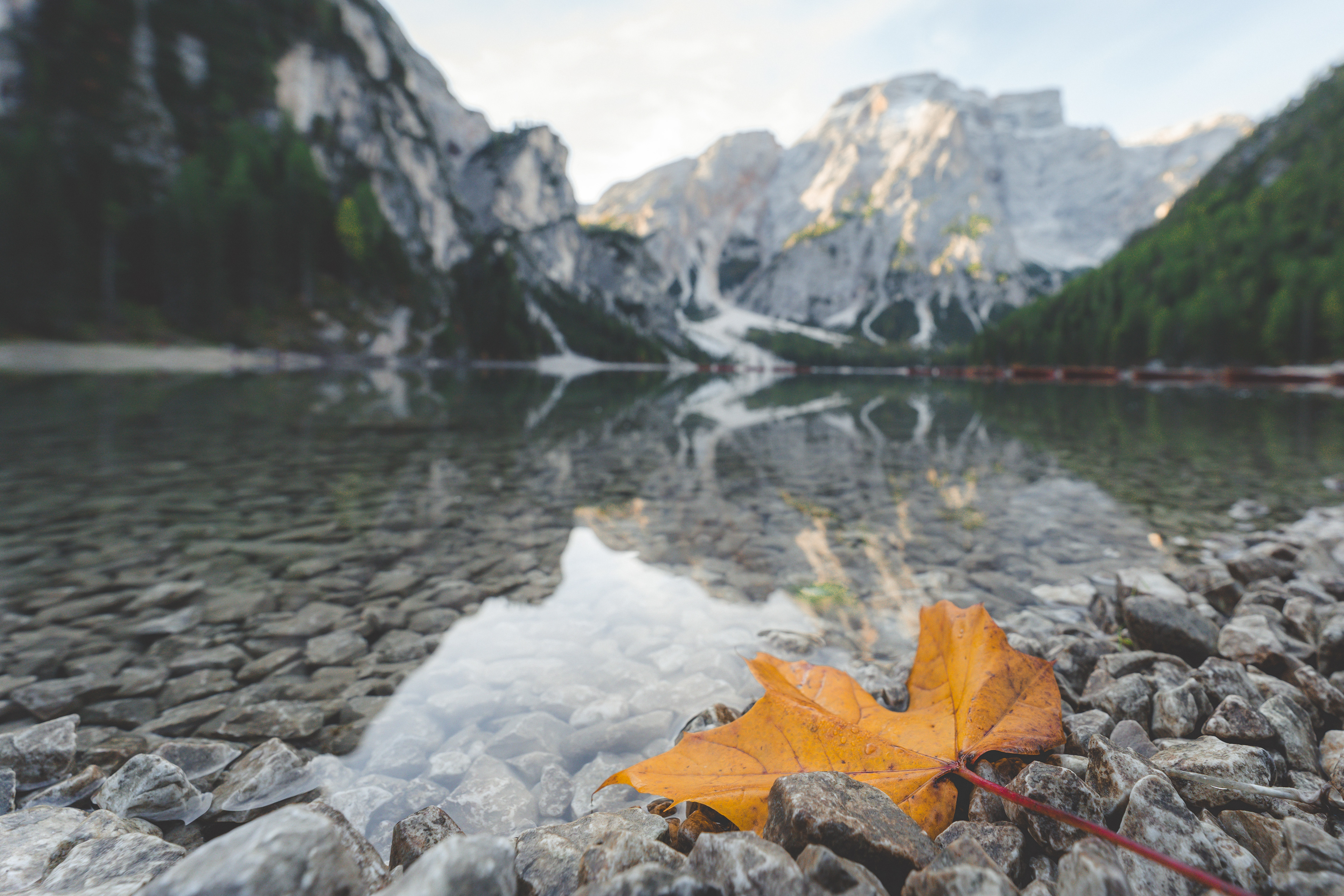 Autumn at Lago di braies, Dolomites, Italy 