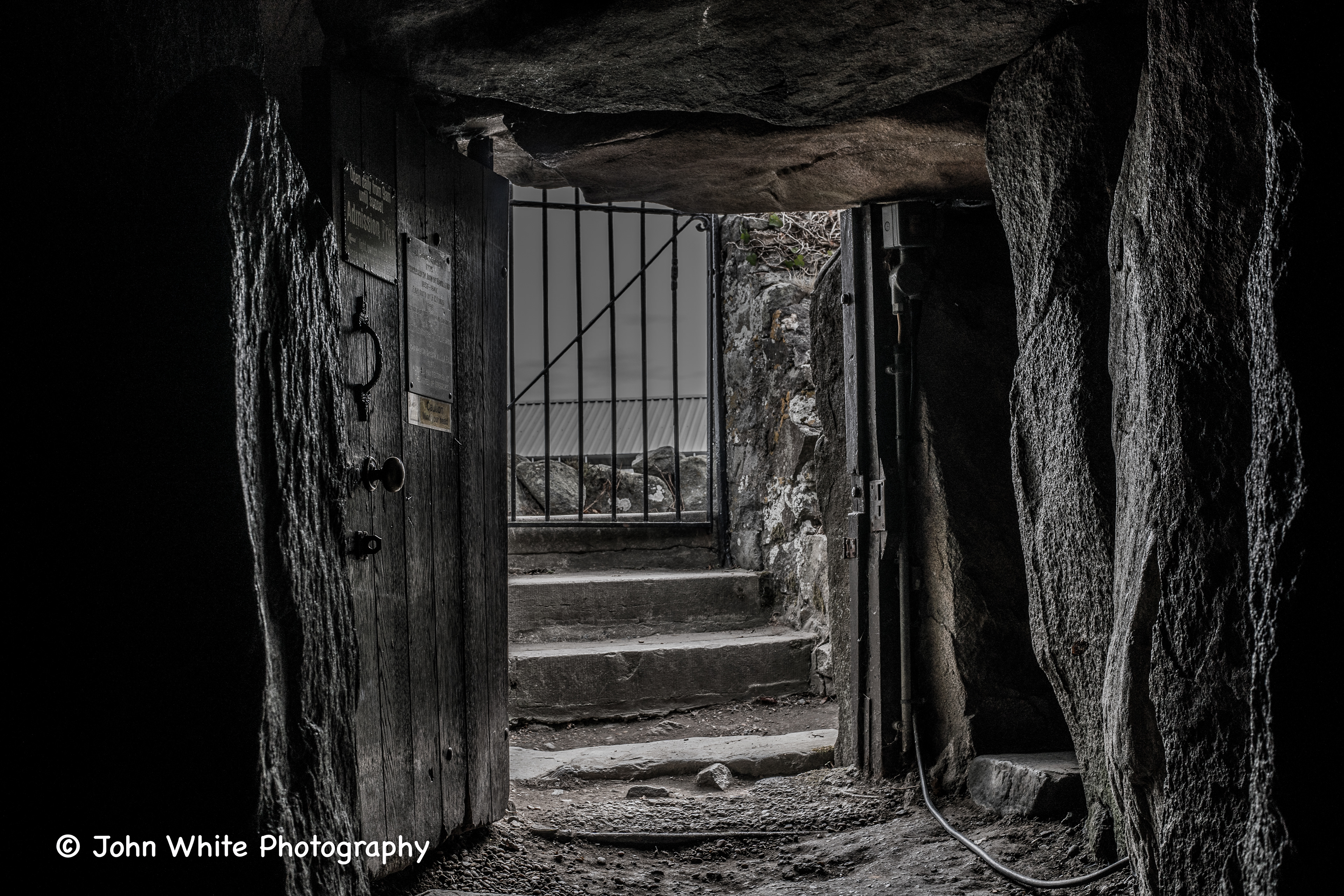 Dehus Dolman Guernsey