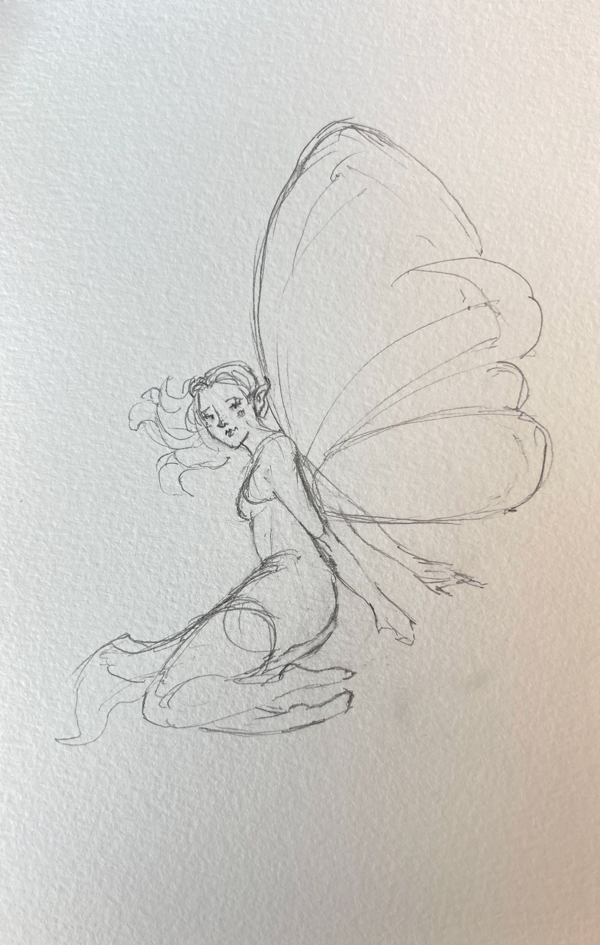 pencil sketch