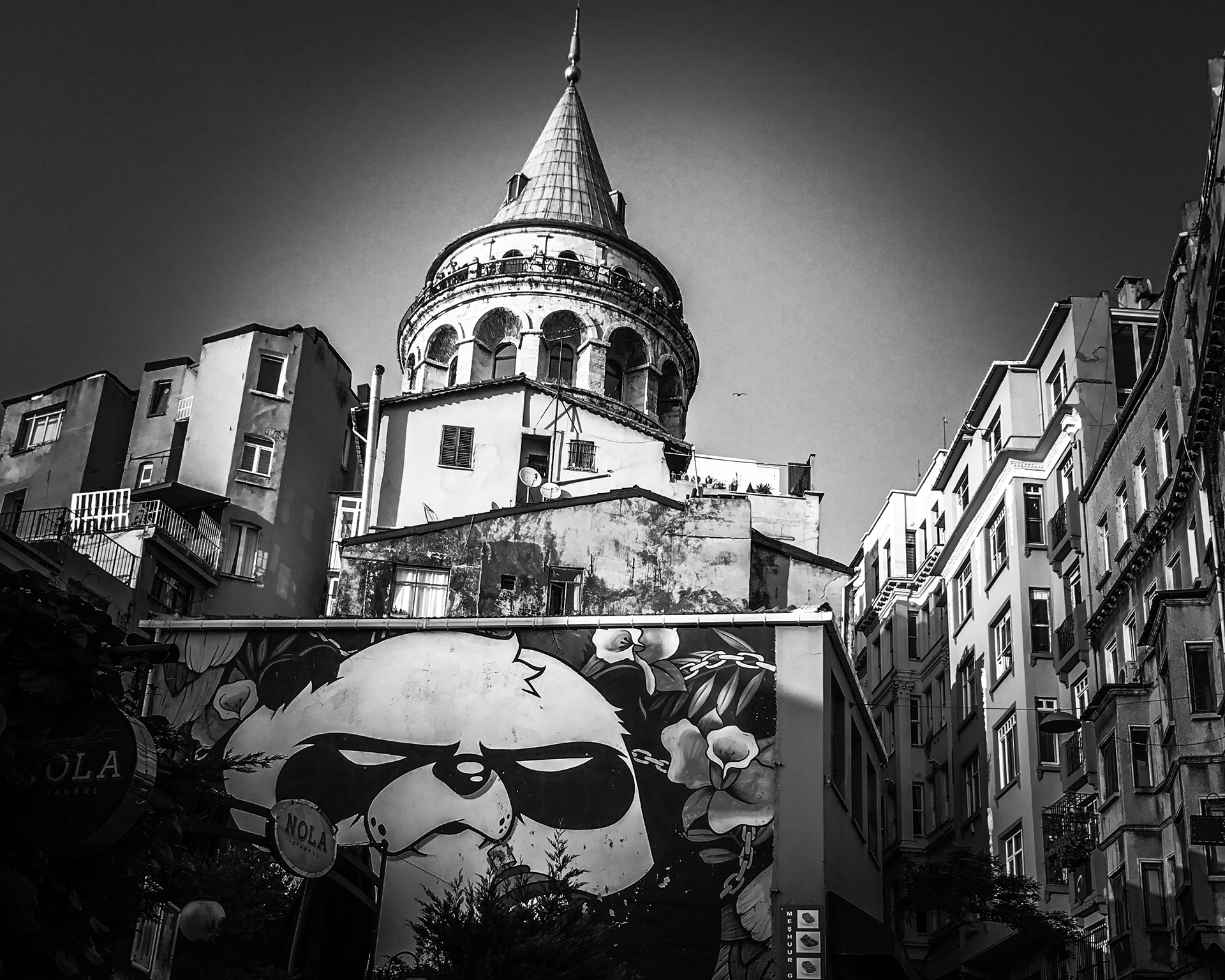 This is part of a series of graffiti murals from an artist called "Mad Panda"