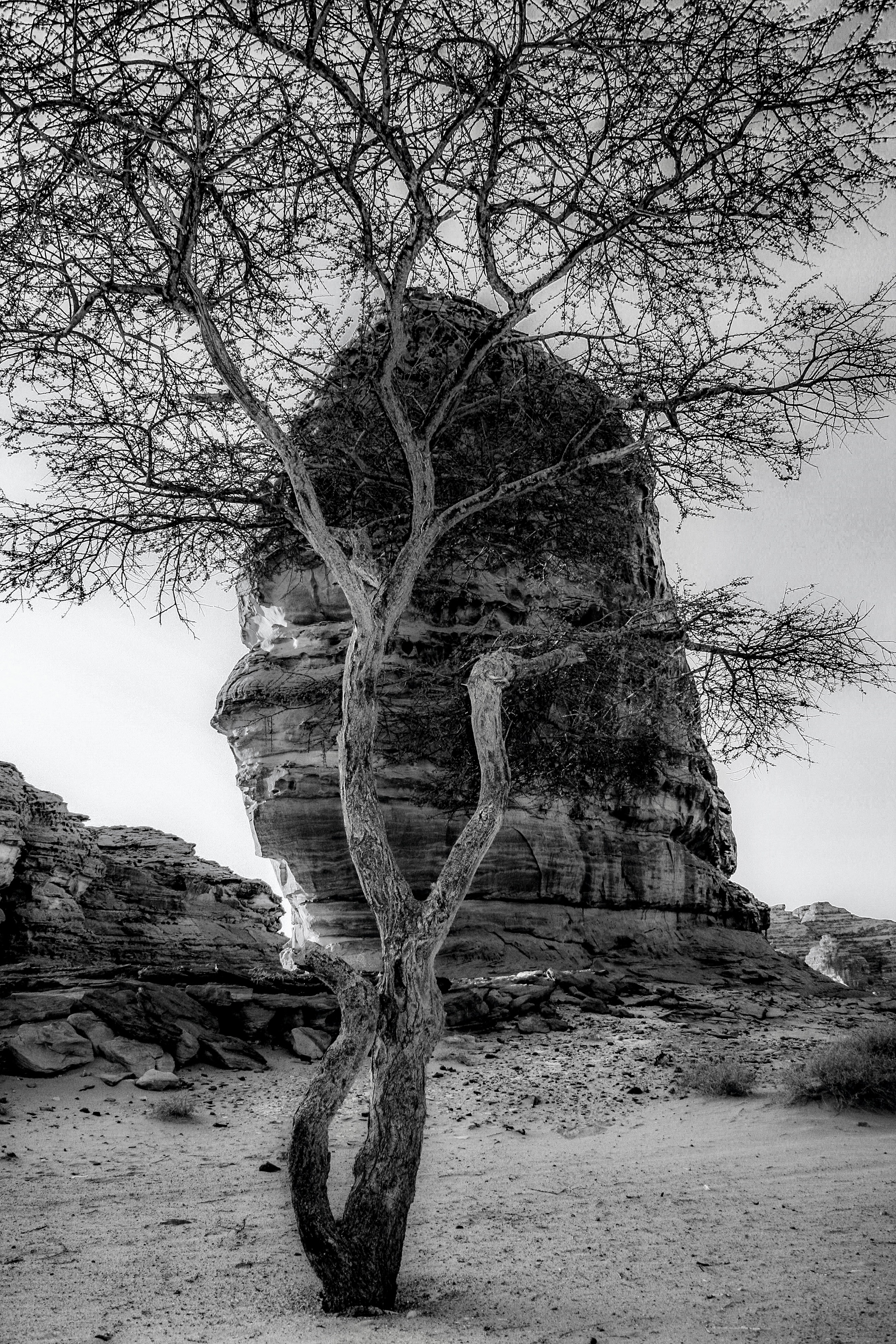 The profile of a lady is present in this rock feature.