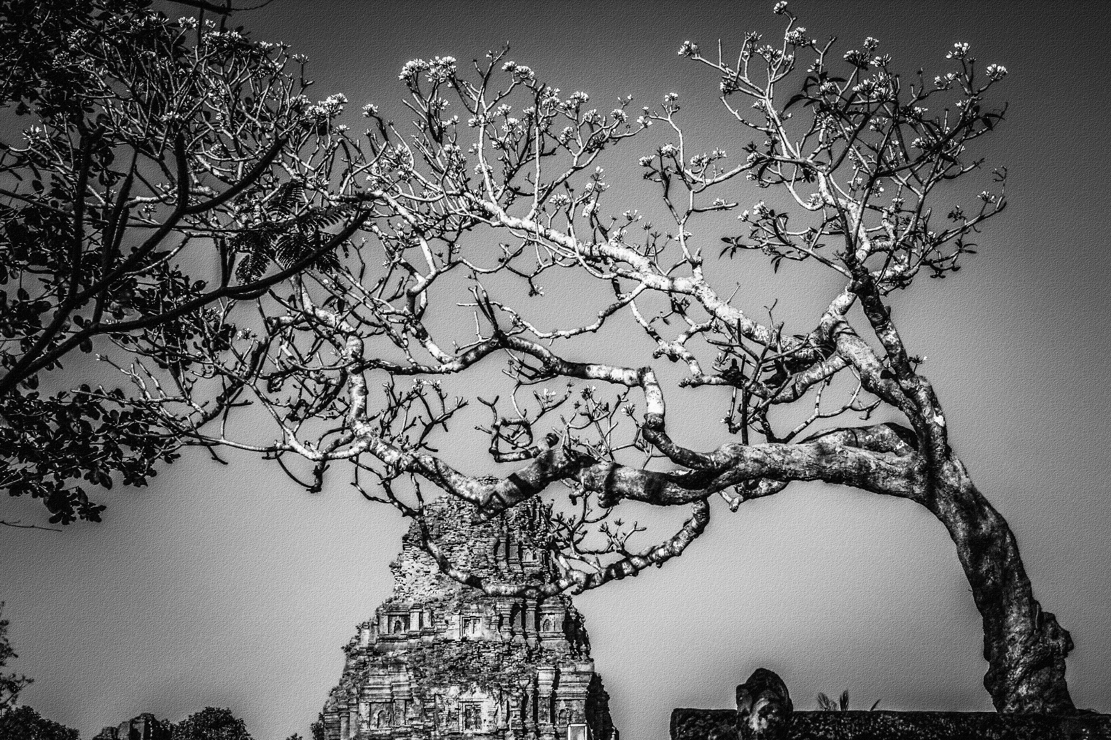Preah Ko Temples