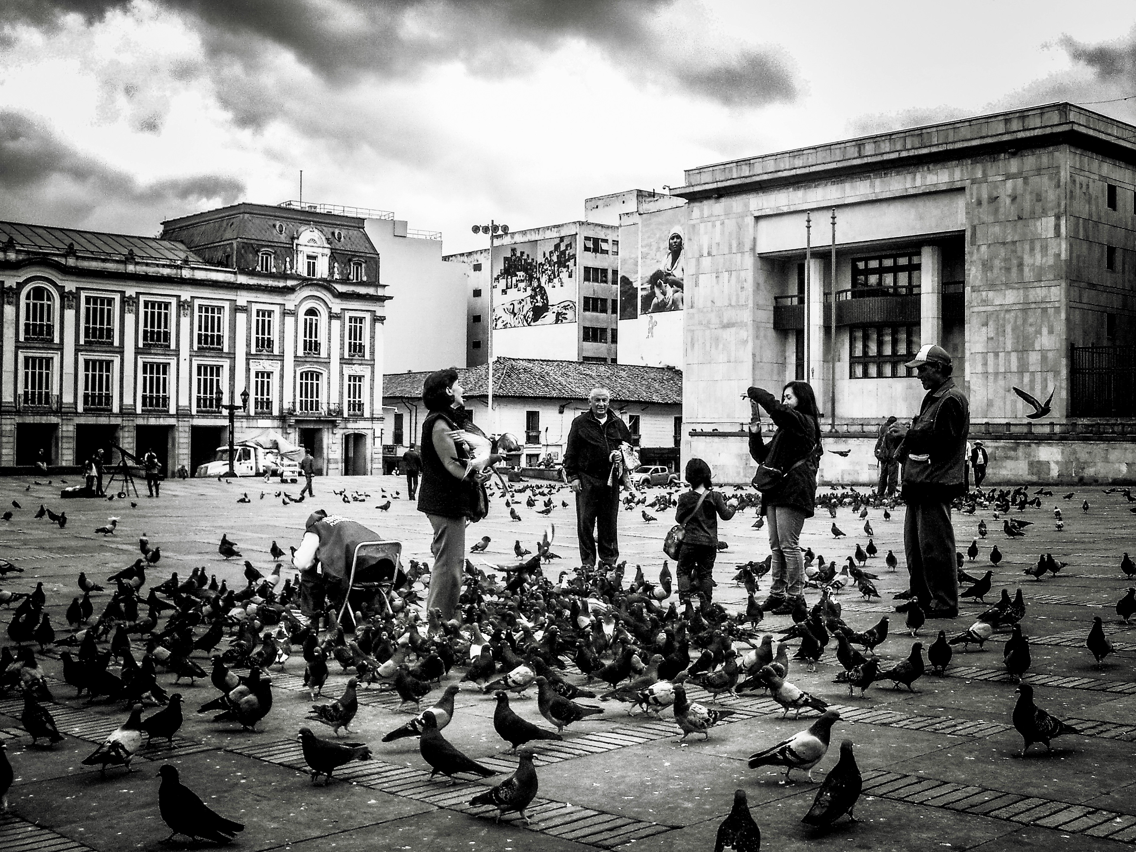 The Bolivia Square in Bogotá.