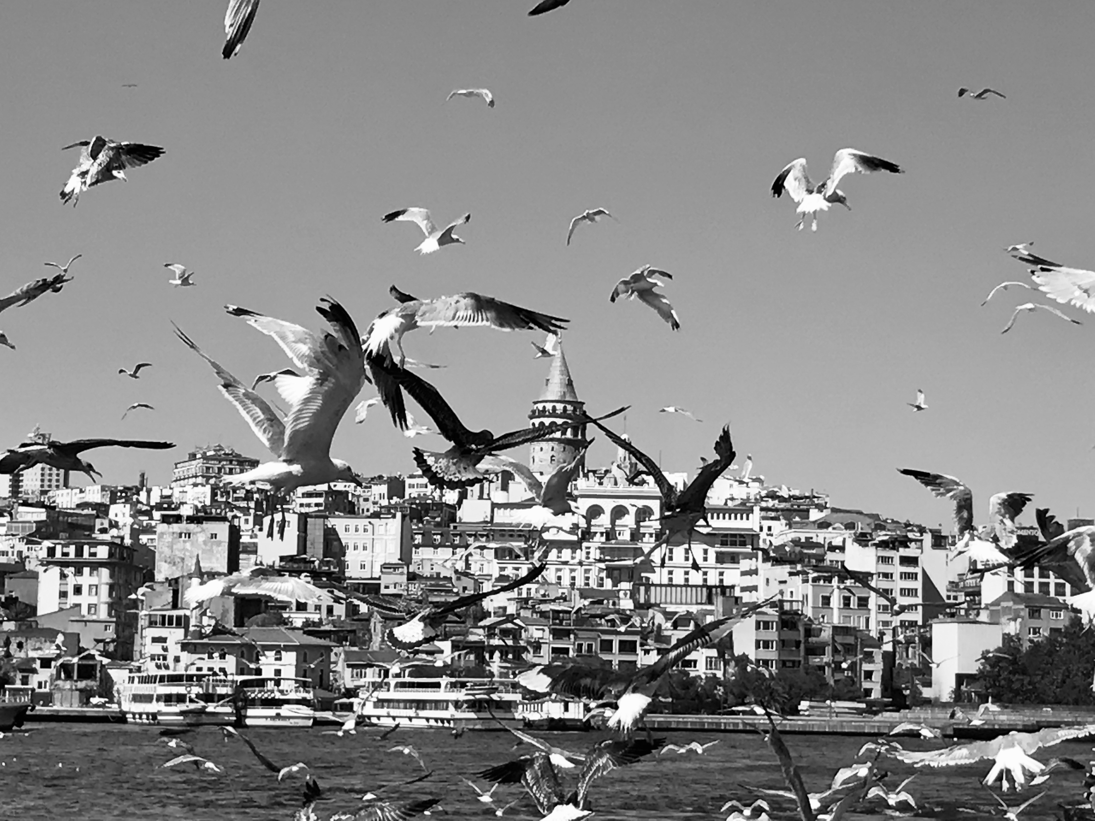 The background to this scene is the 14th century Galata tower.