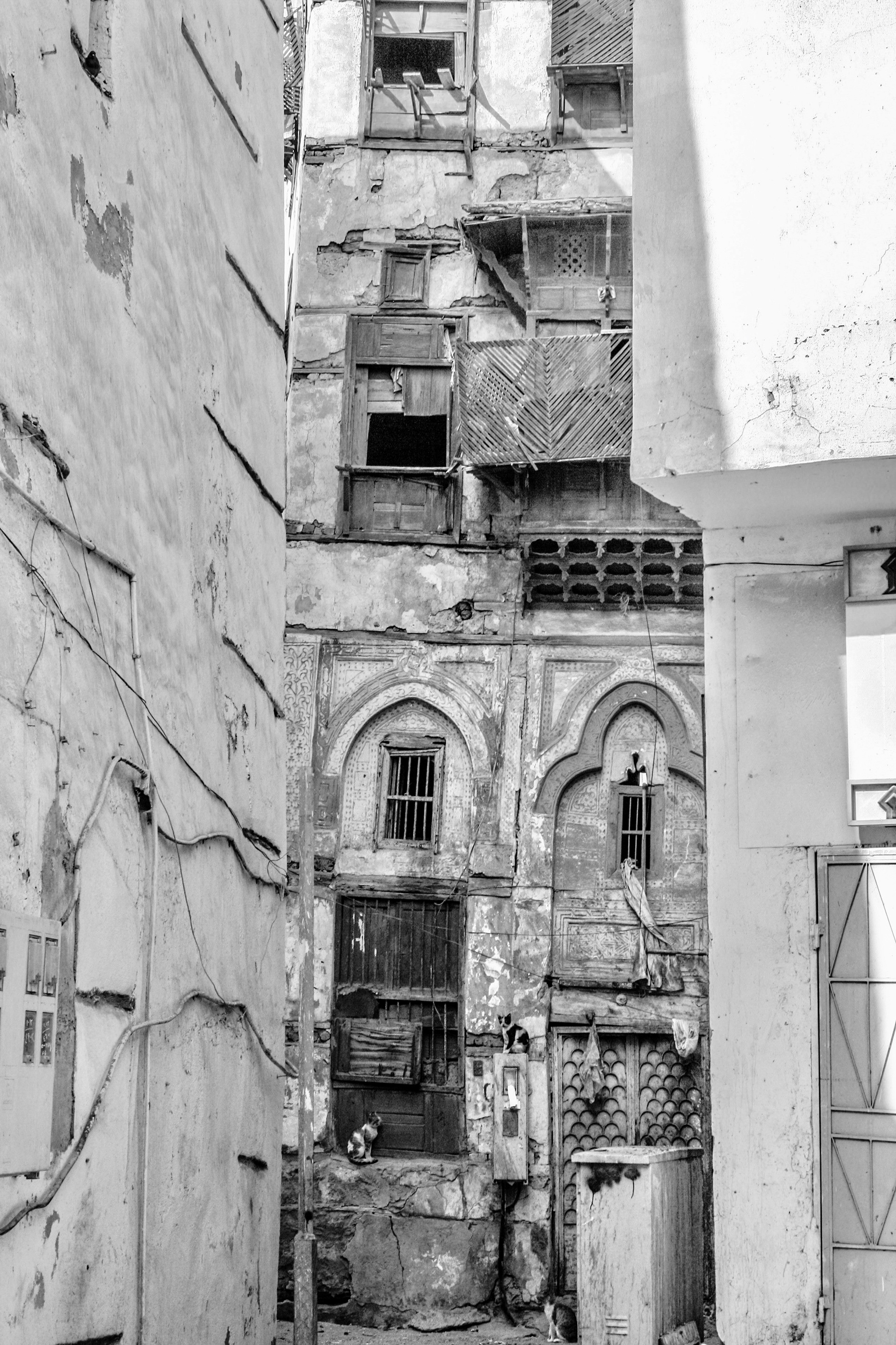 More cats amongst the falling down buildings