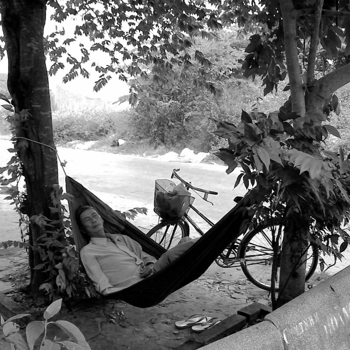 This lotto ticket selling man alway came to set up his hammock every day at the same time in front of our house for his nap.