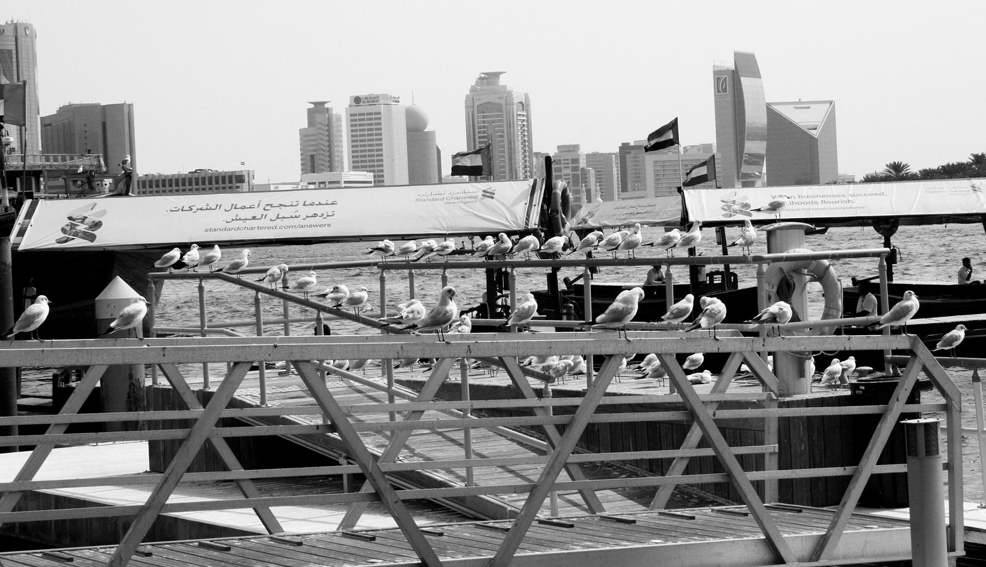 The Creek with the new modern downtown in the background...plus a few seagulls!