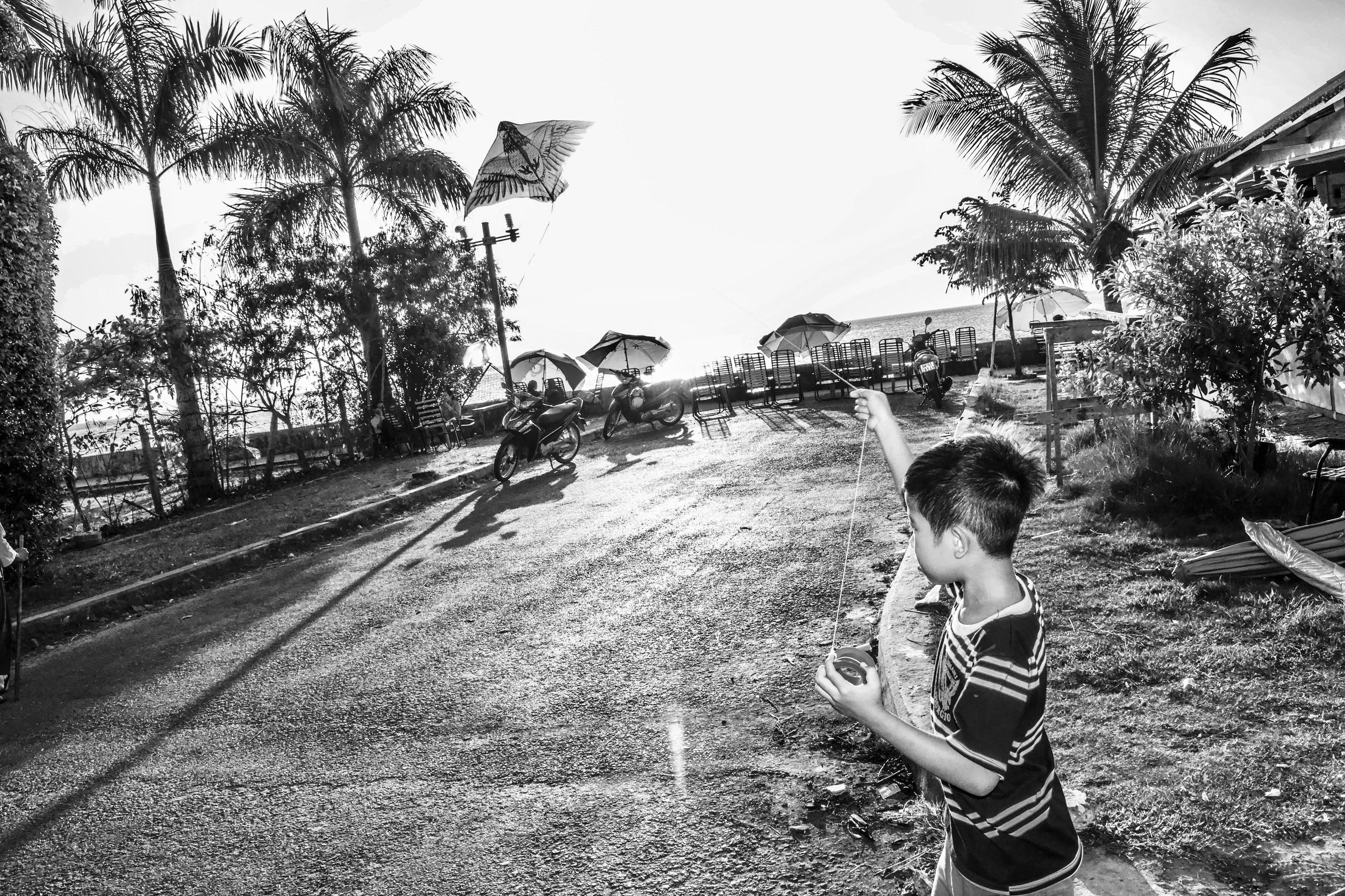 Kite flying season...comes shortly after TET