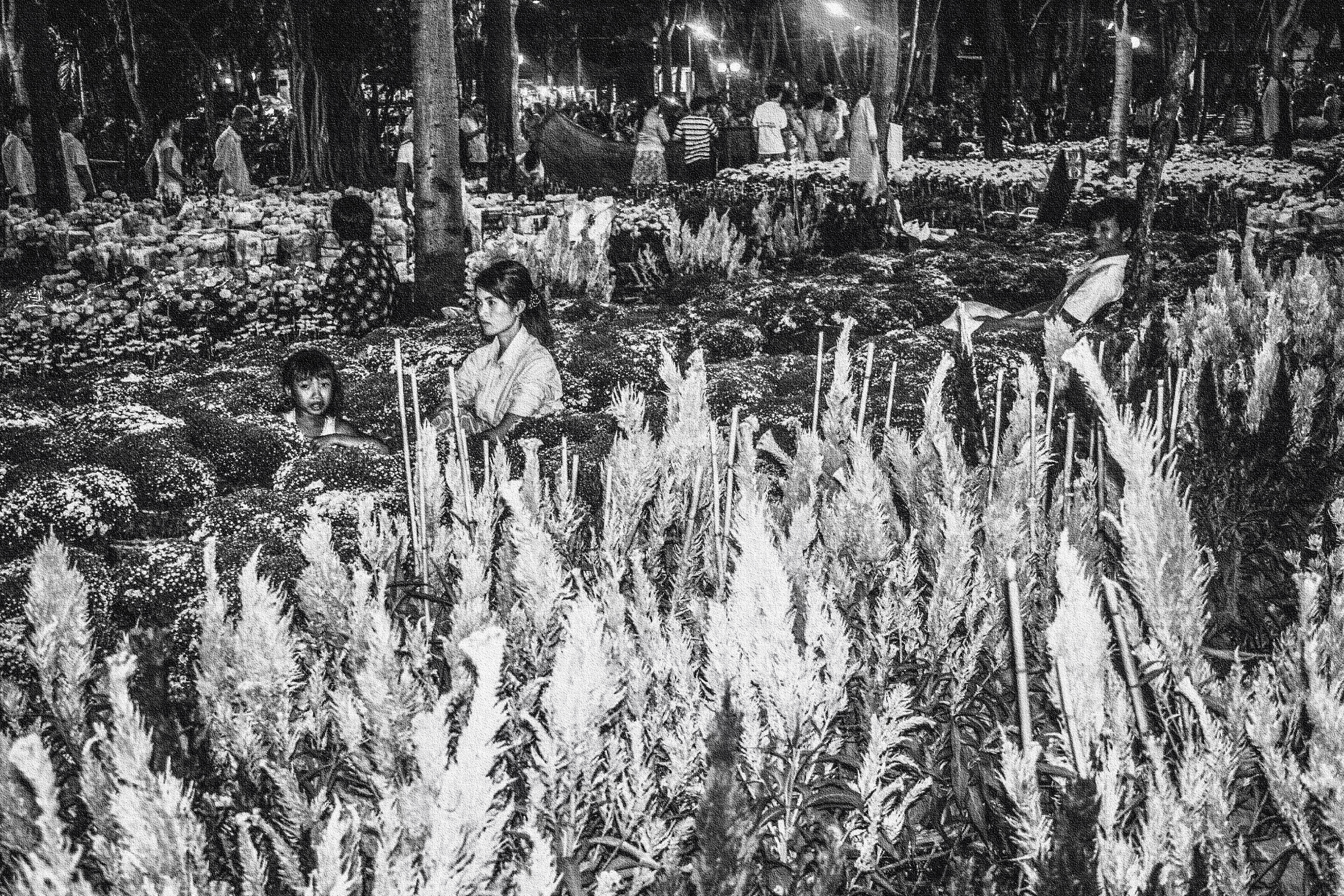 Just up from our flower seller in the main square of HCMC
