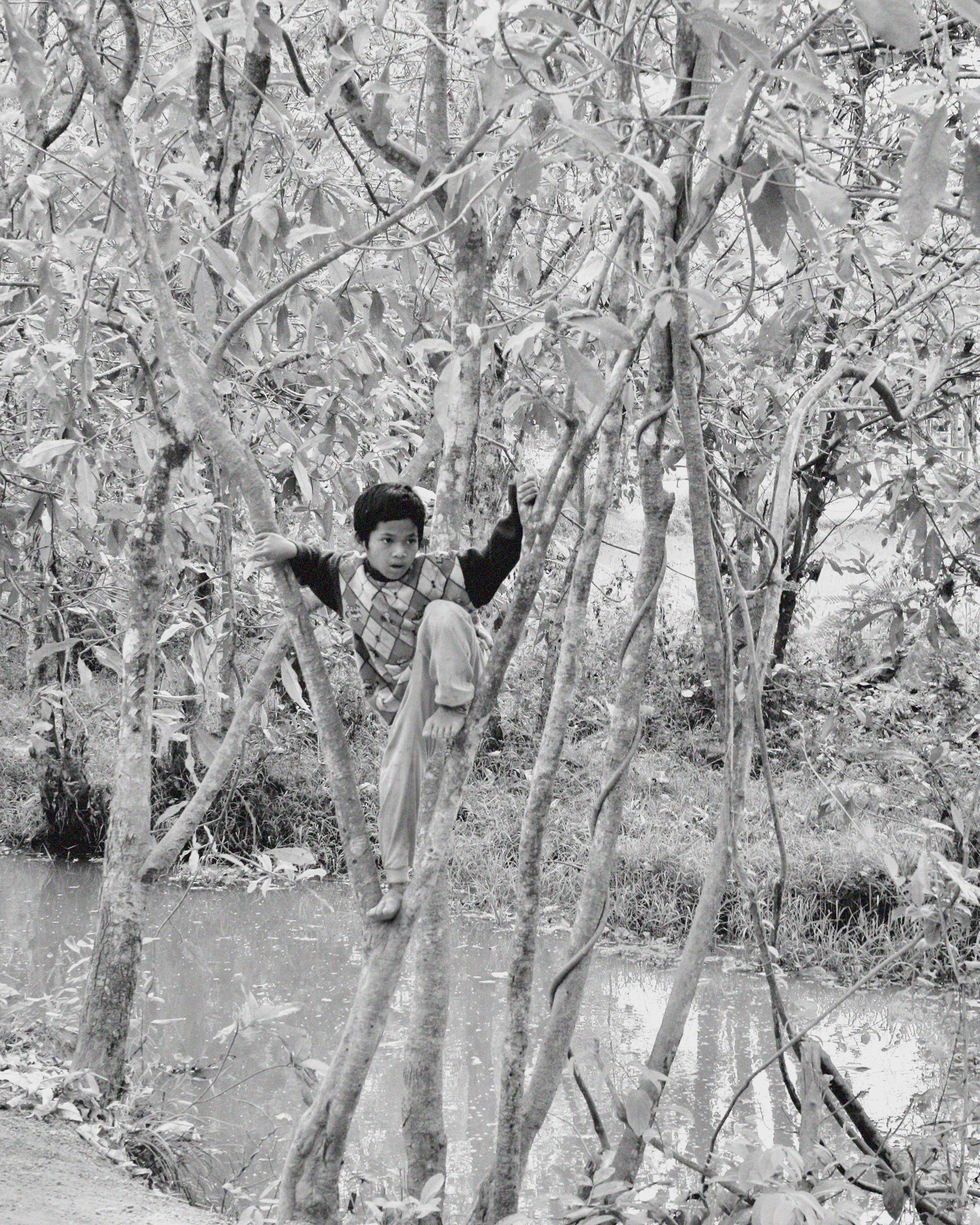 Just hanging around