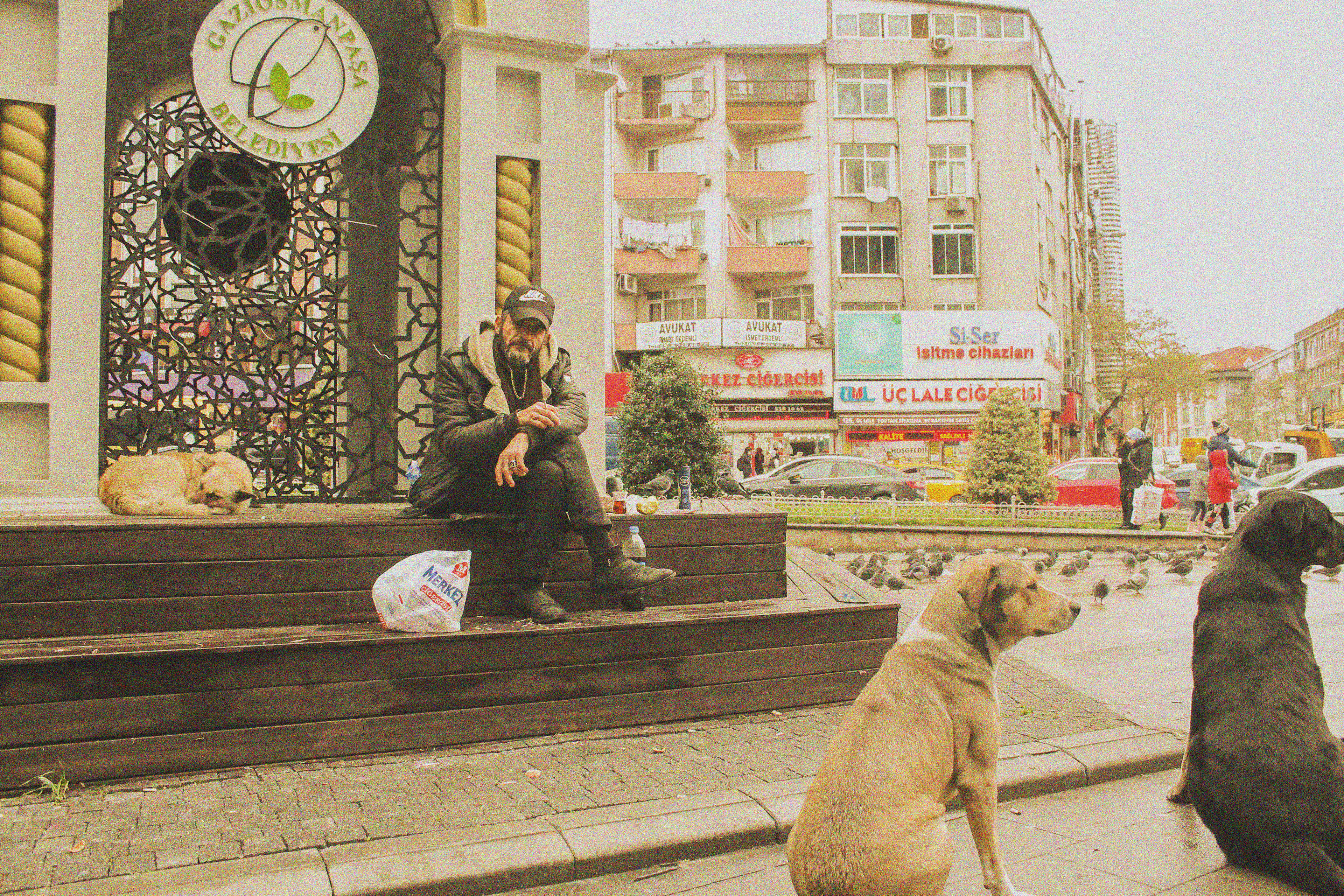 Köpekler ve insan