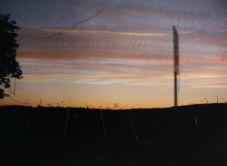 sign side~30"w x 20" h