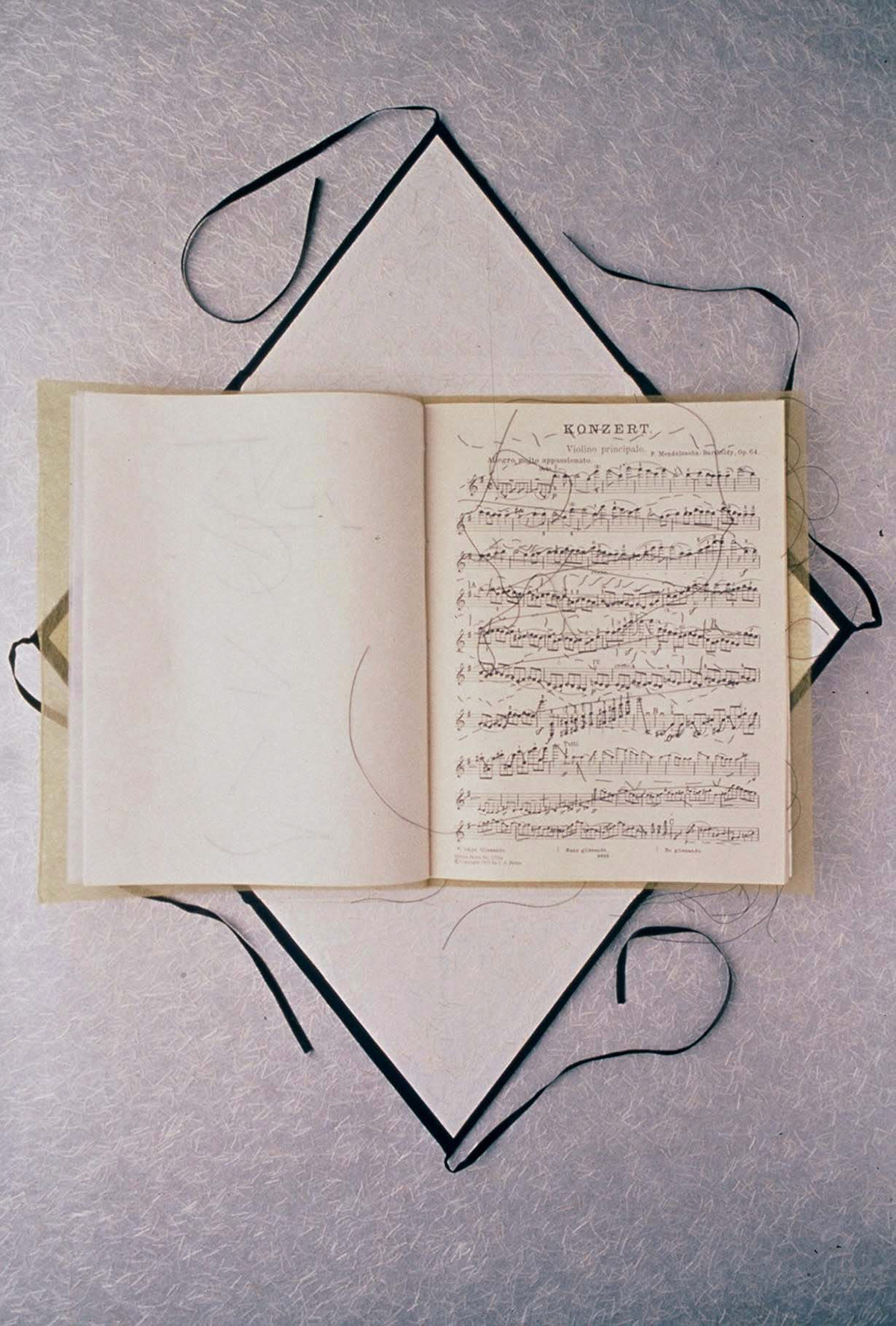 Interior ~11"w x 13"h