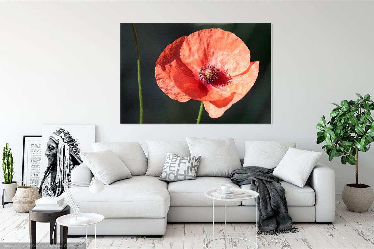 Wall art