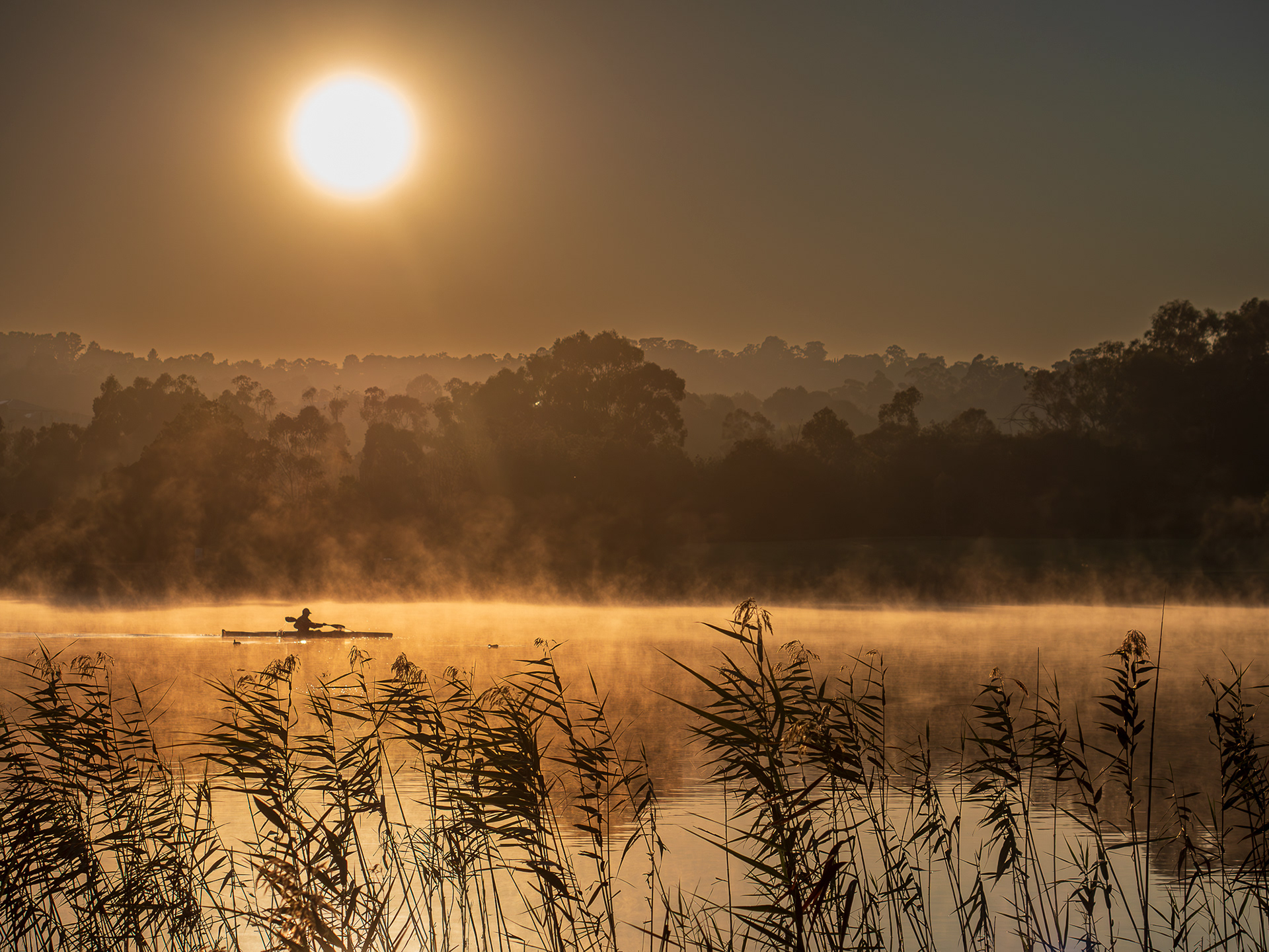 " Kayak at Sunrise " by Tracey McGreevy [ instagram - @traymac ]