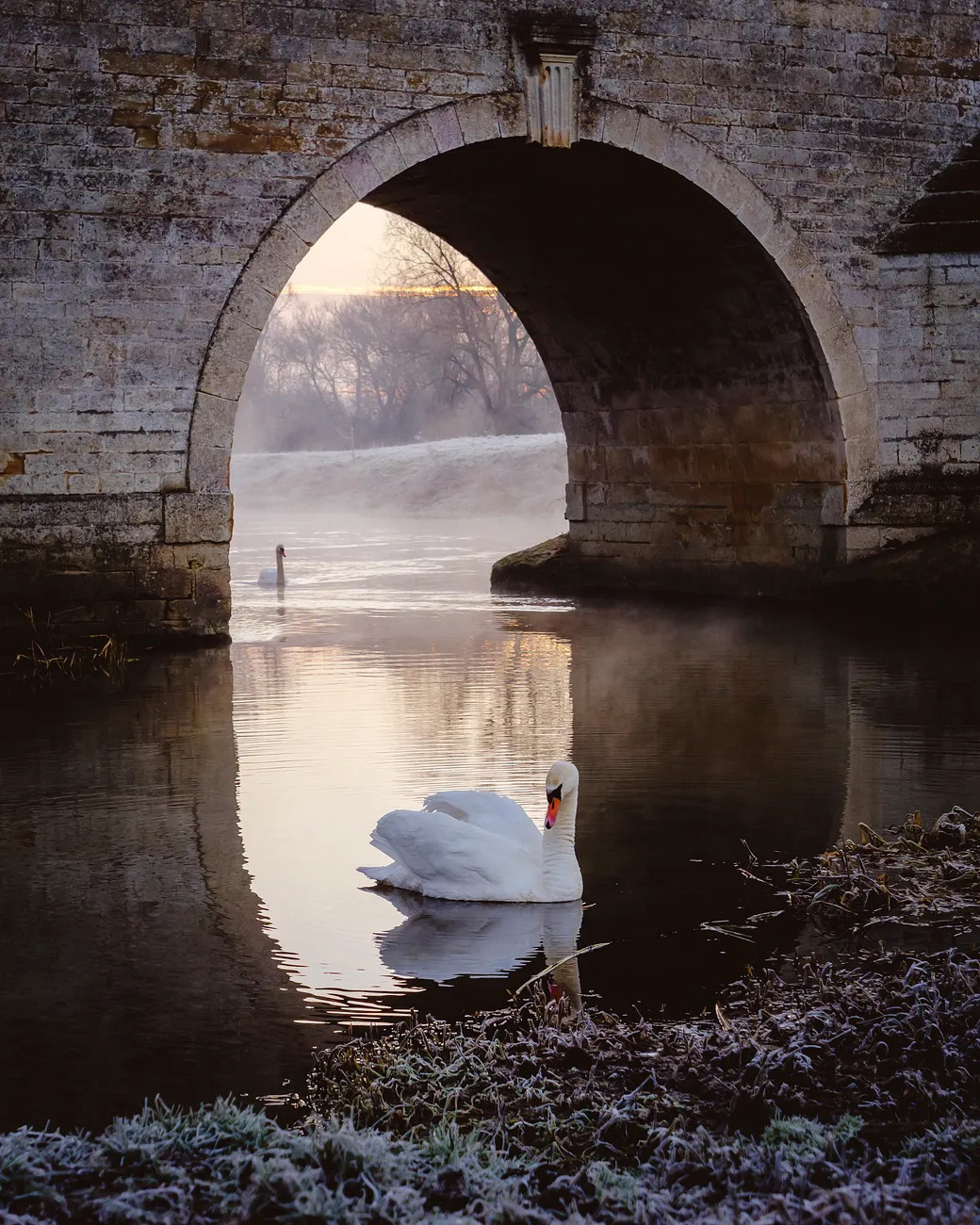 Frosty winter morning on the river - hazel727024 [ Substack ]