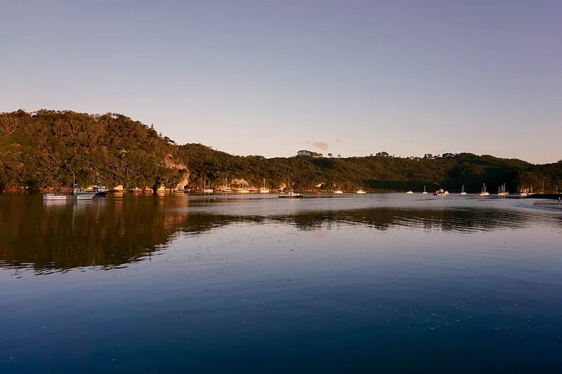 Whitianga, New Zealand - susanaaracenastudio [ Substack ]