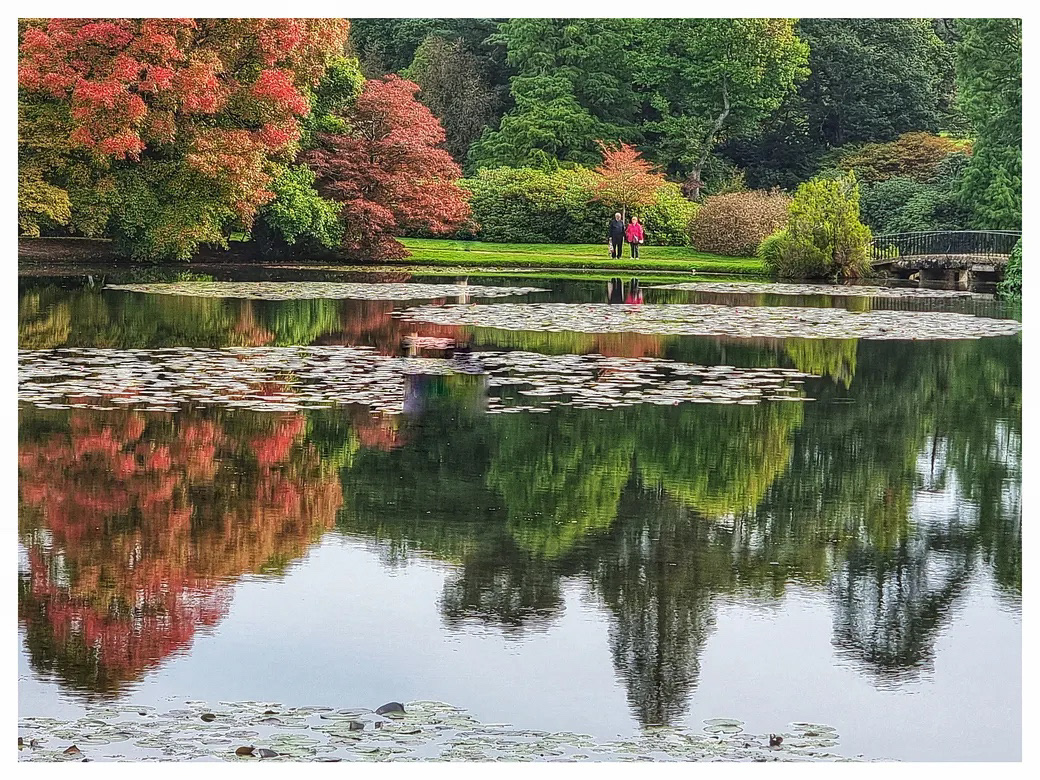 Sheffield Park Gardens in Sussex teresarussell2 - [ Substack ]