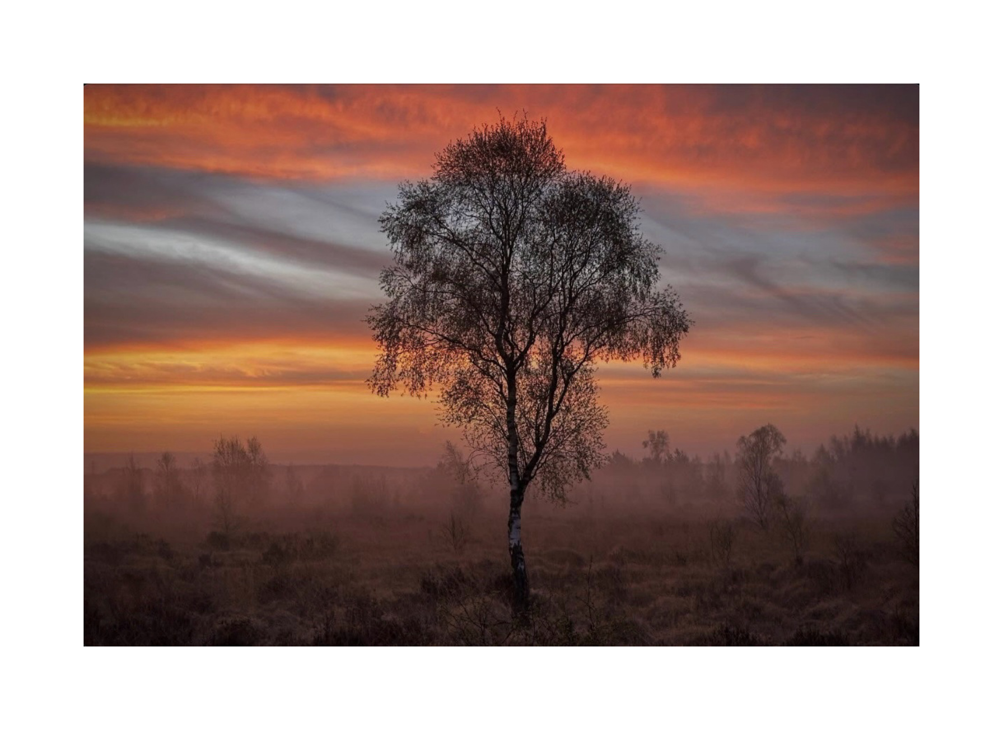 captured_by_marion