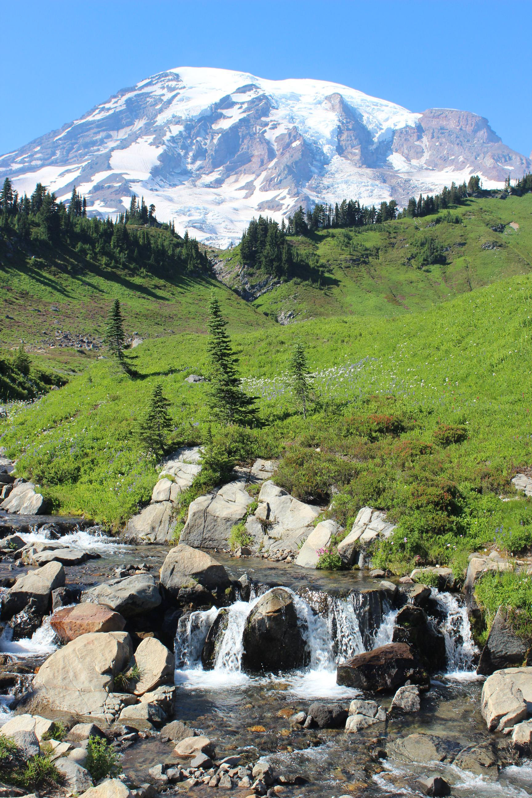 Paradise, Mount Rainier, WA. 2016.