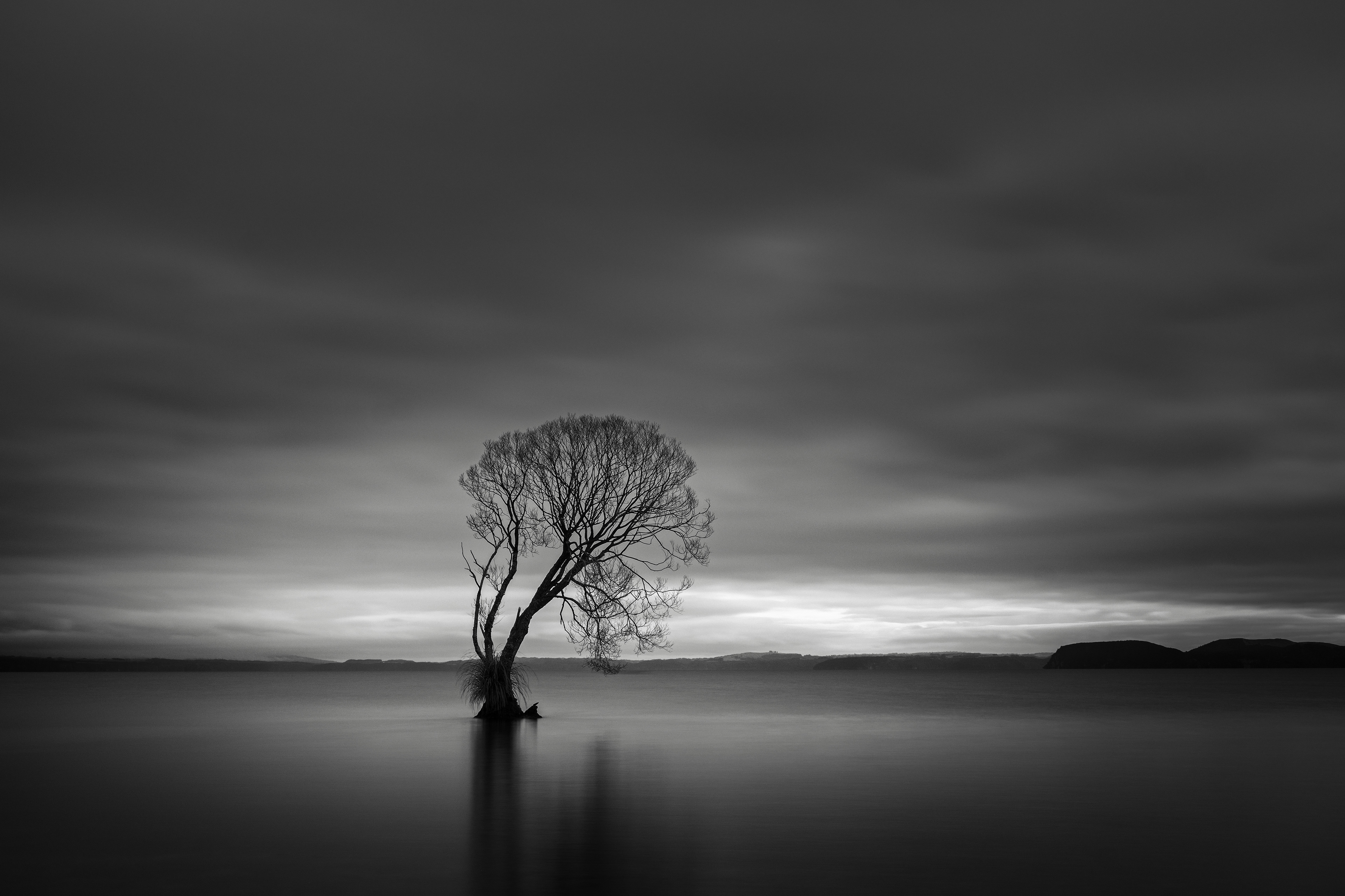 Orientations II