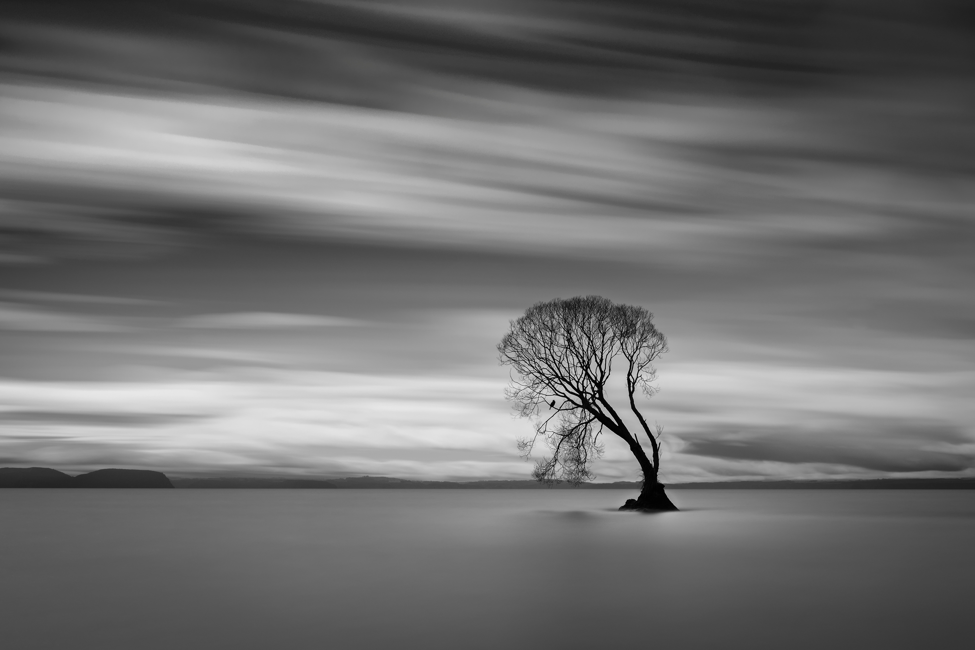 Lone